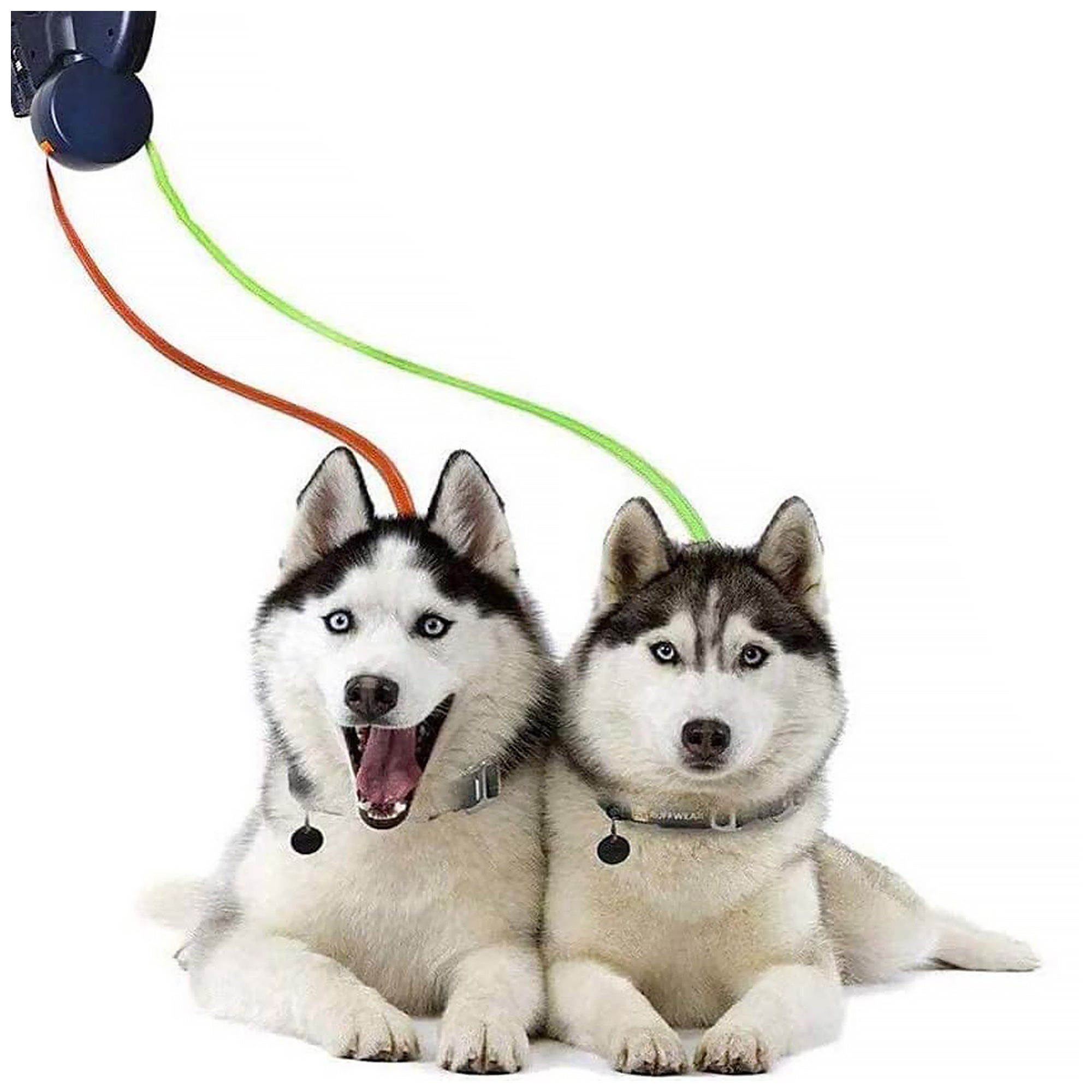 5M Heavy Duty Pet Leash – Adjustable, Durable for Walks