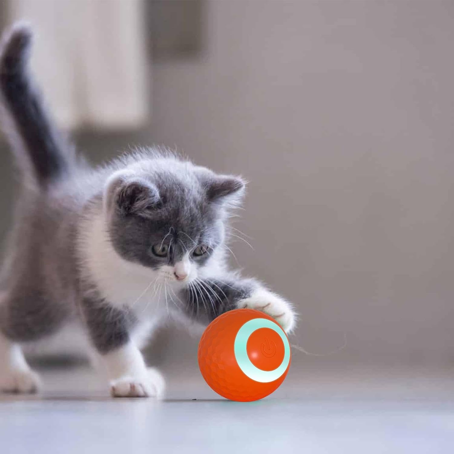 Interactive USB Dog Toy Ball – Rechargeable, Bouncing Fun