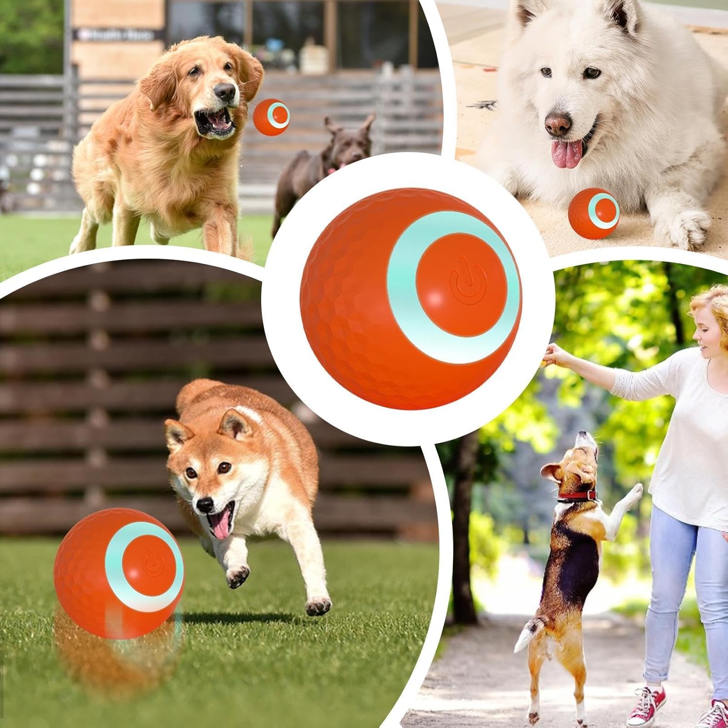 Interactive USB Dog Toy Ball – Rechargeable, Bouncing Fun