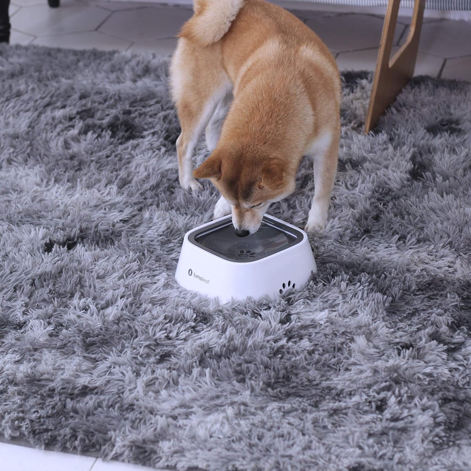No-Spill Pet Water Bowl – Anti-Splash, Easy Clean Design