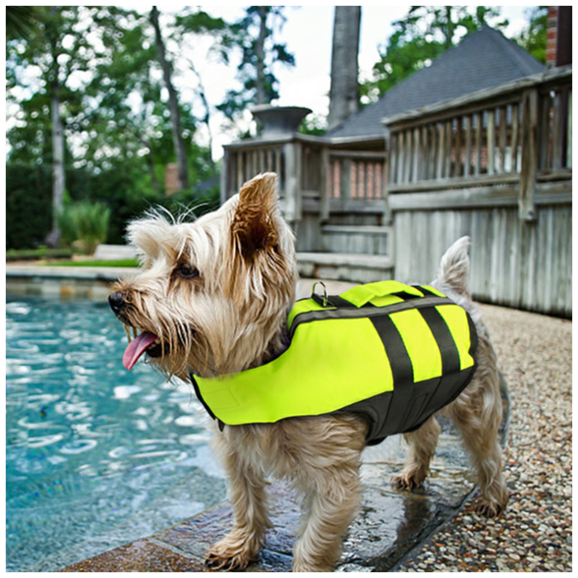 Adjustable Inflatable Pet Life Vest – Safety Swimming Jacket