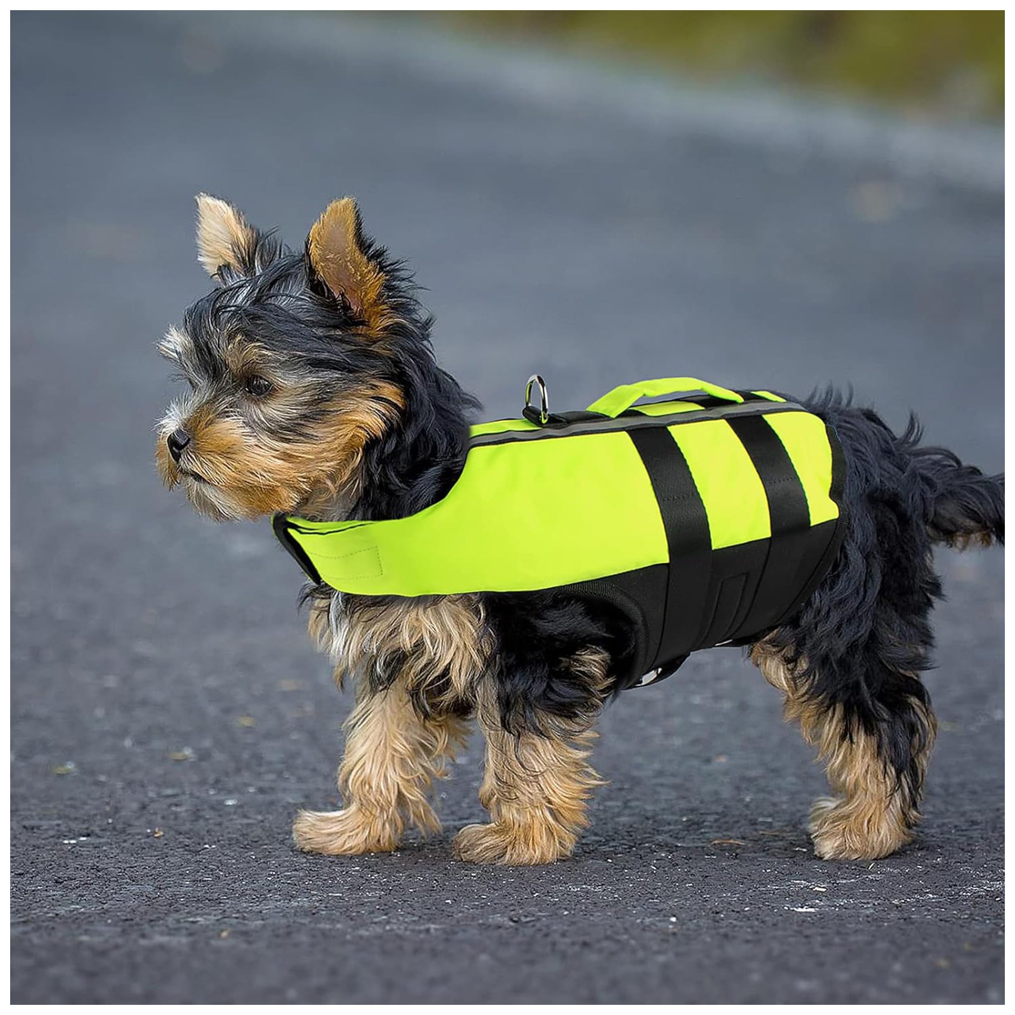 Adjustable Inflatable Pet Life Vest – Safety Swimming Jacket