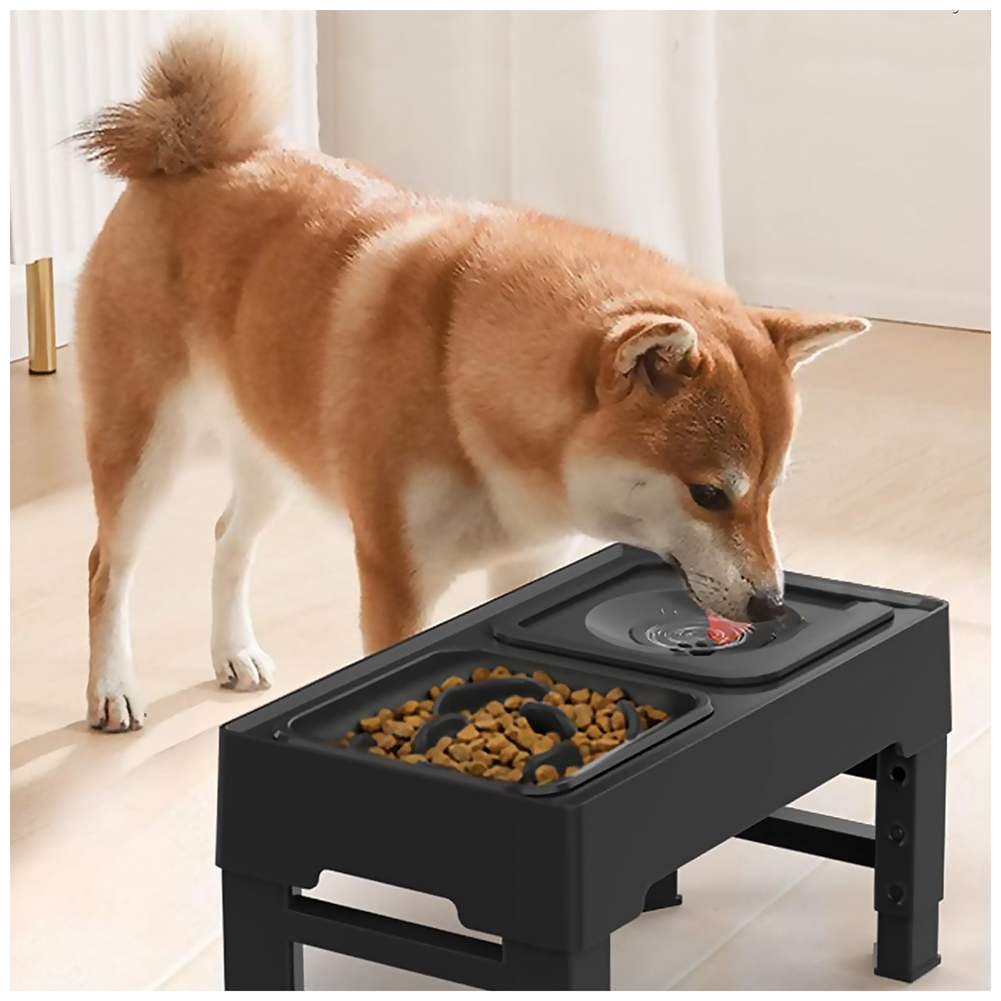 Adjustable Slow Feeder Pet Bowl – No-Spill, Height Adjustable