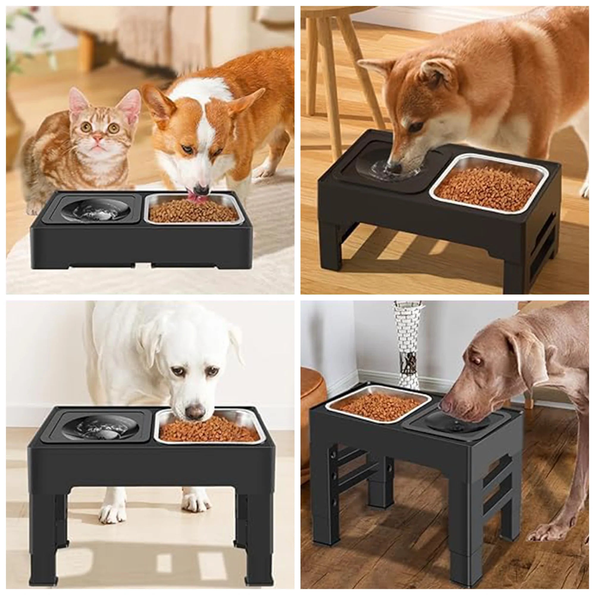 Adjustable Slow Feeder Pet Bowl – No-Spill, Height Adjustable