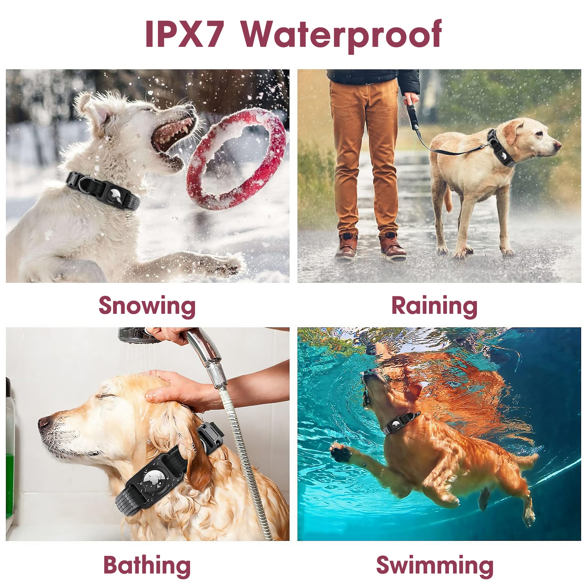 AirTag Dog Collar Reflective Waterproof – Smart Tracking