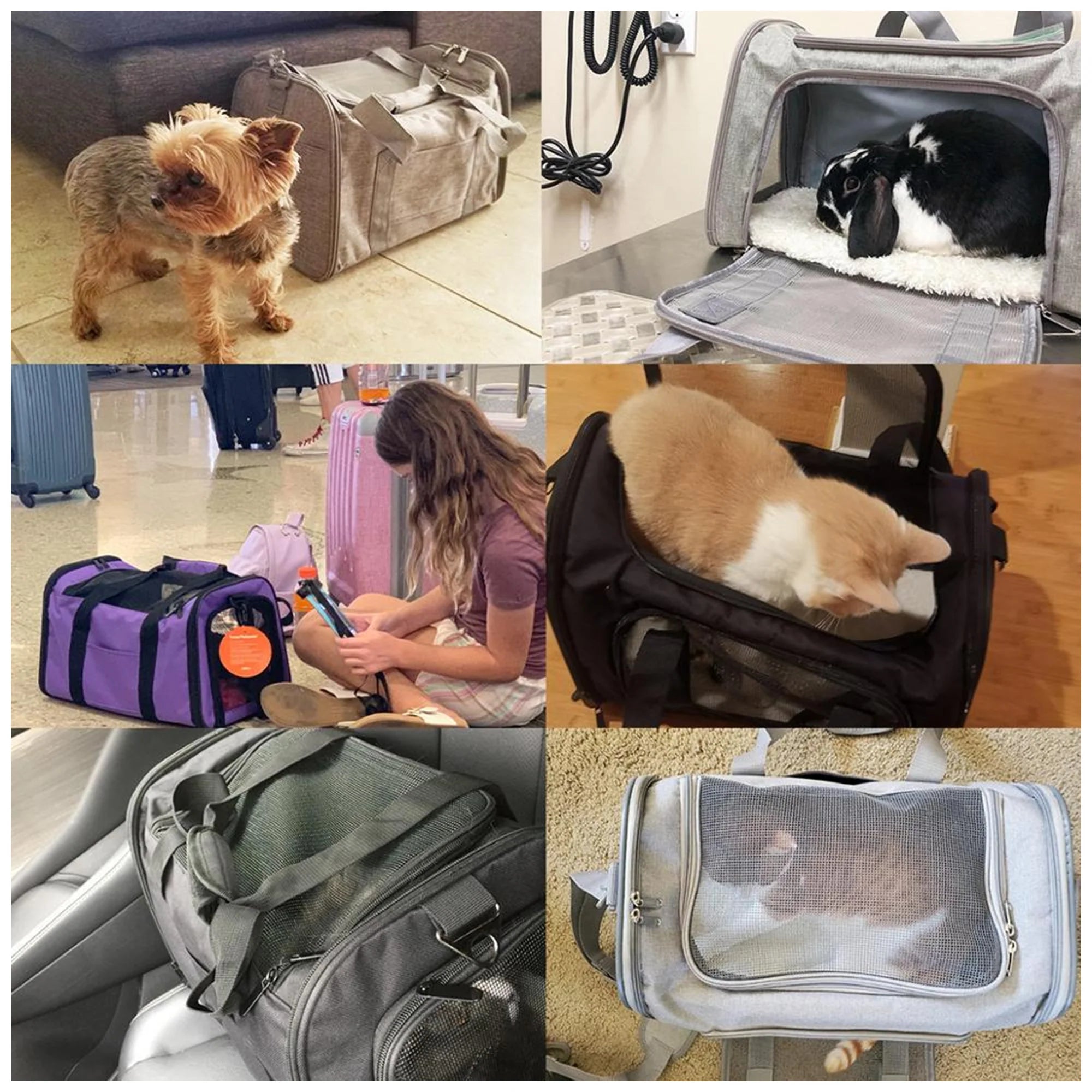 BreathablePetCarrierBag_Comfortable_SecureTravelOption-05-Instructional2