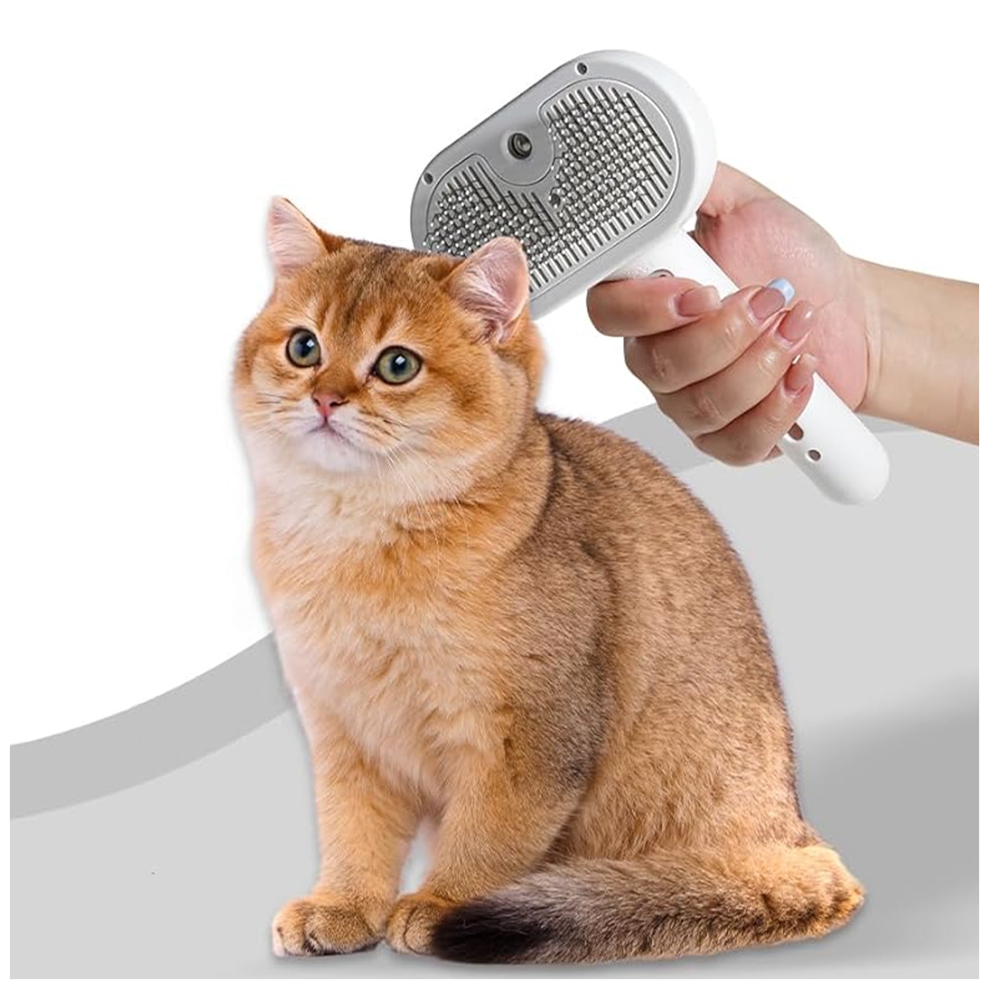 Pet Grooming Brush with Spray – Gentle Shedding Tool, Easy Clean
