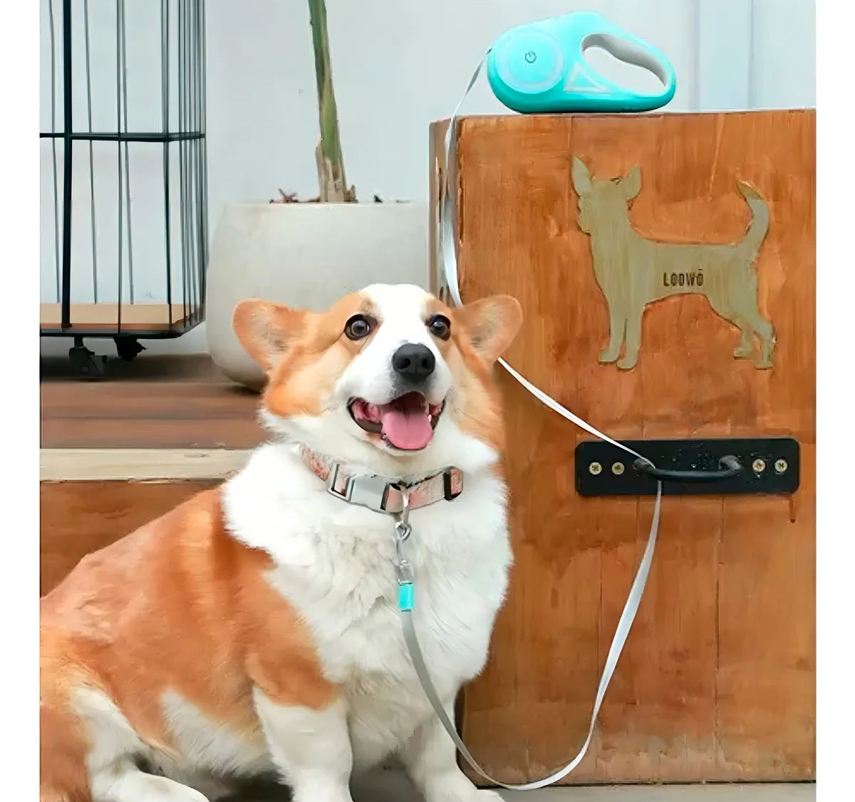 Illuminating Retractable Dog Leash – LED Safety & 16ft Freedom