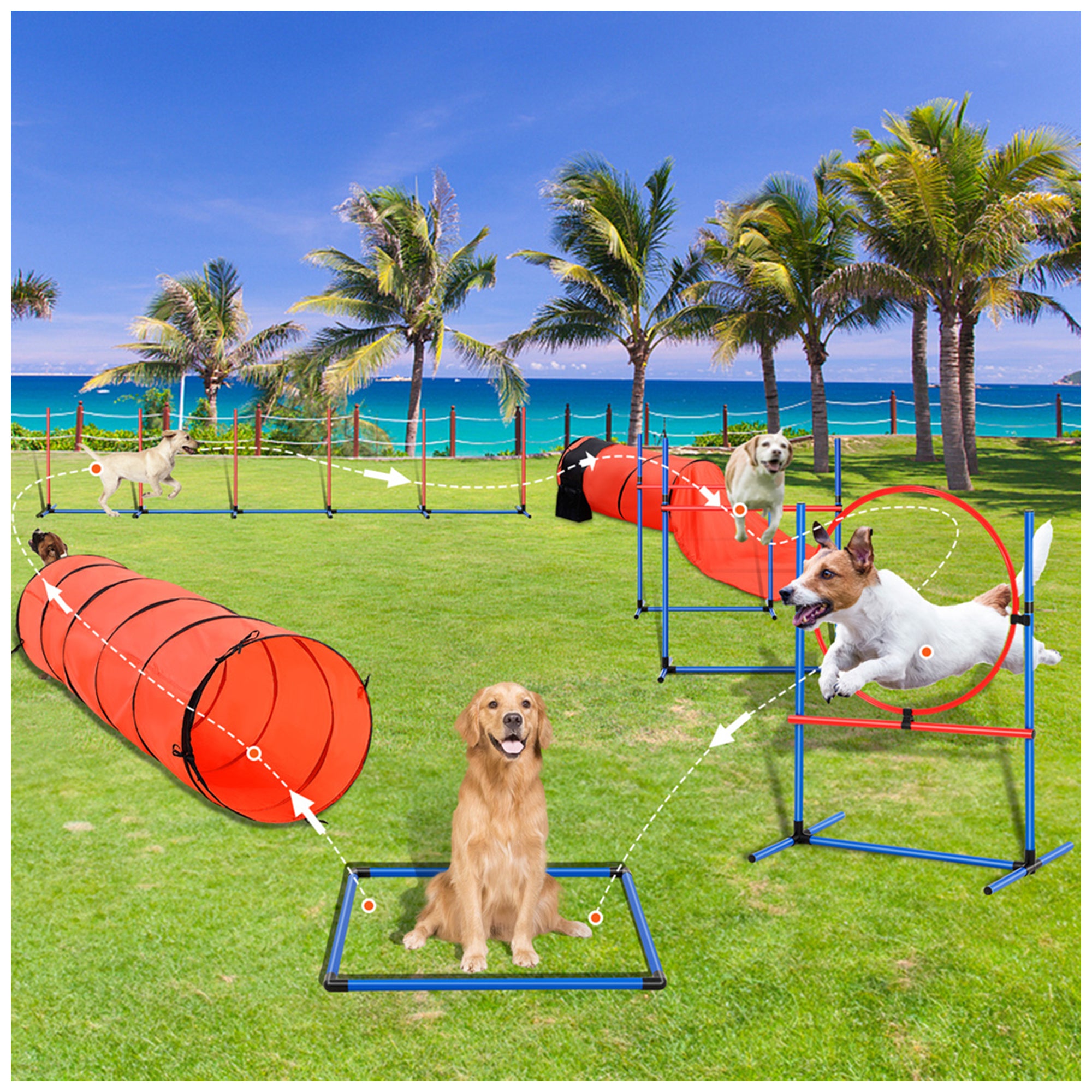 Dog Agility Training Equipment Set – 5 Piece PVC Kit for Hurdles