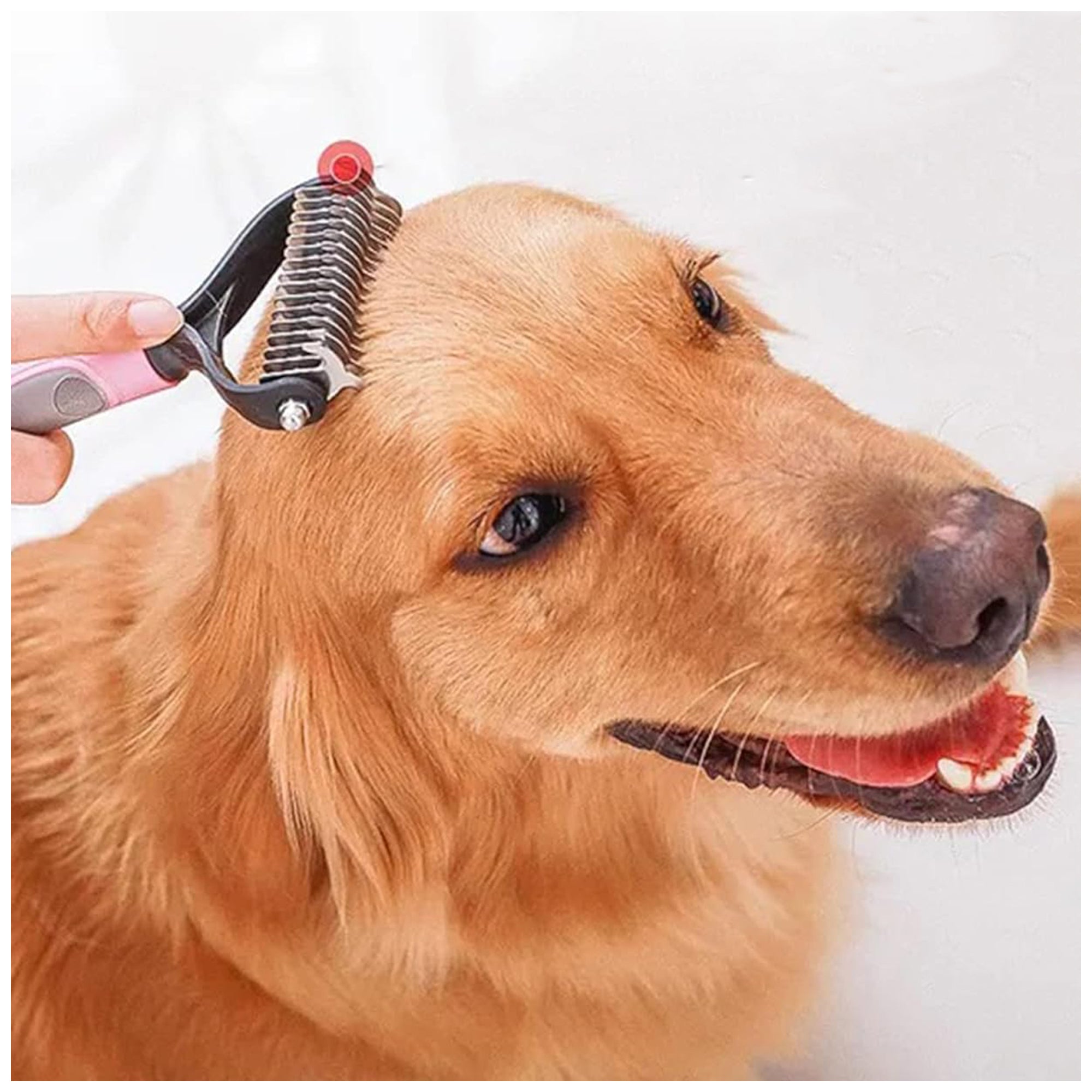 Dual-Sided Pet Grooming Comb – Shedding & Detangling Tool