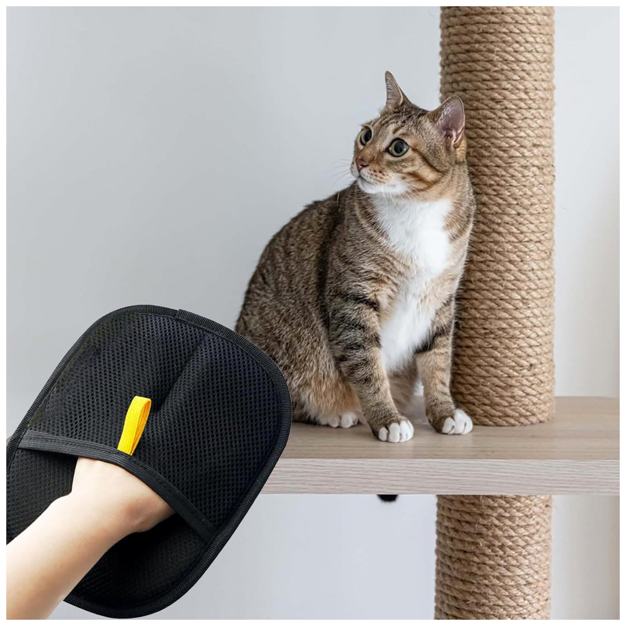 Electrostatic Pet Hair Removal Gloves – Dual-Sided, Easy Clean