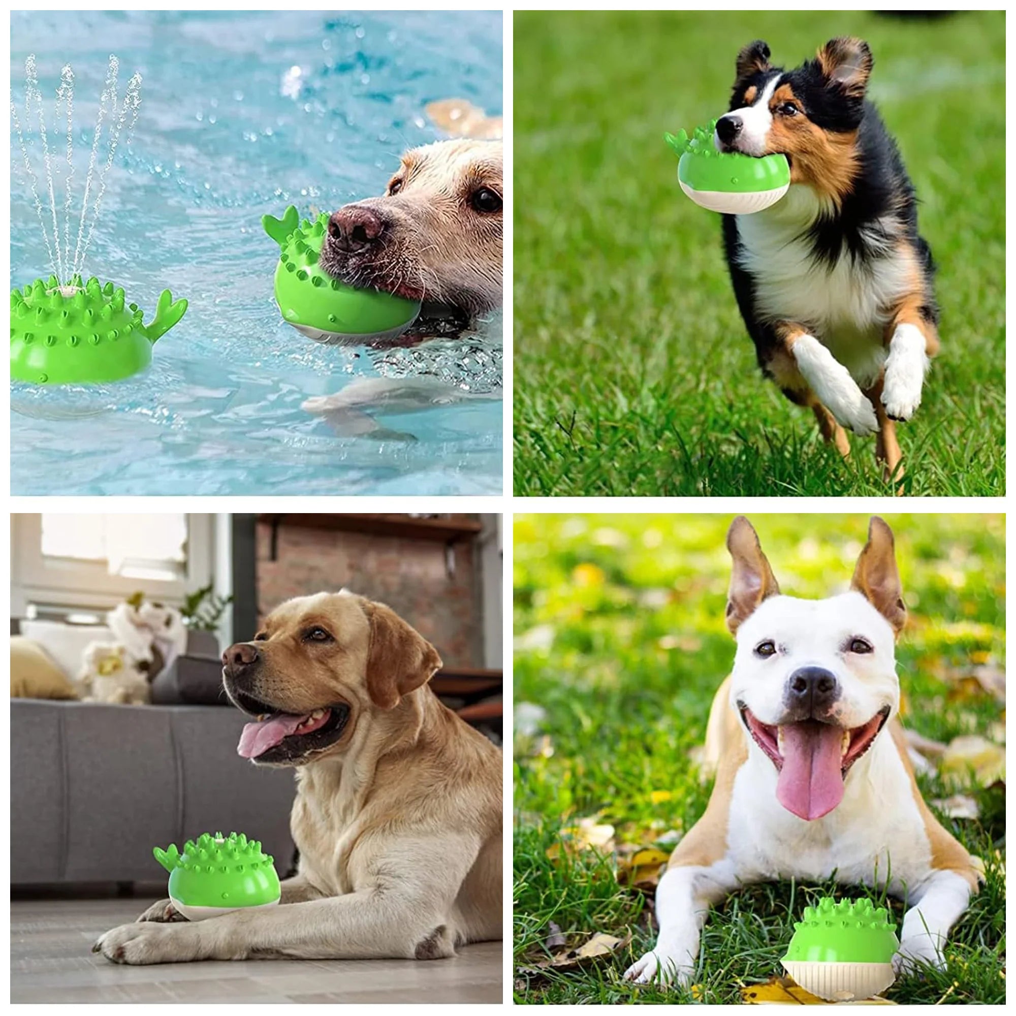 Floating Water Spray Dog Toy – Summer Fun, Durable TPR Material