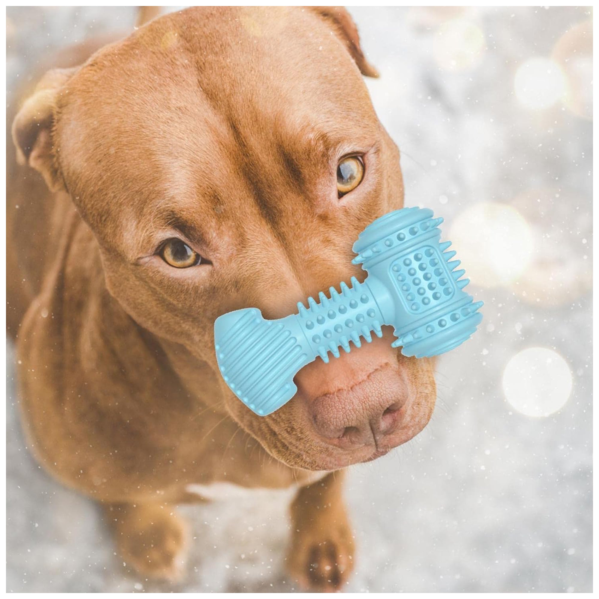 Aggressive Dental Chew Toy – Extreme Chewers, TPR Material