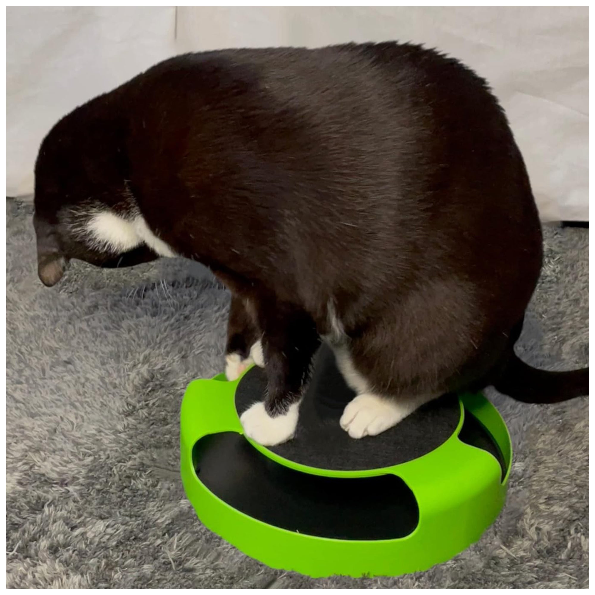 Interactive 360° Cat Toy – Scratchpad for Healthy Habits