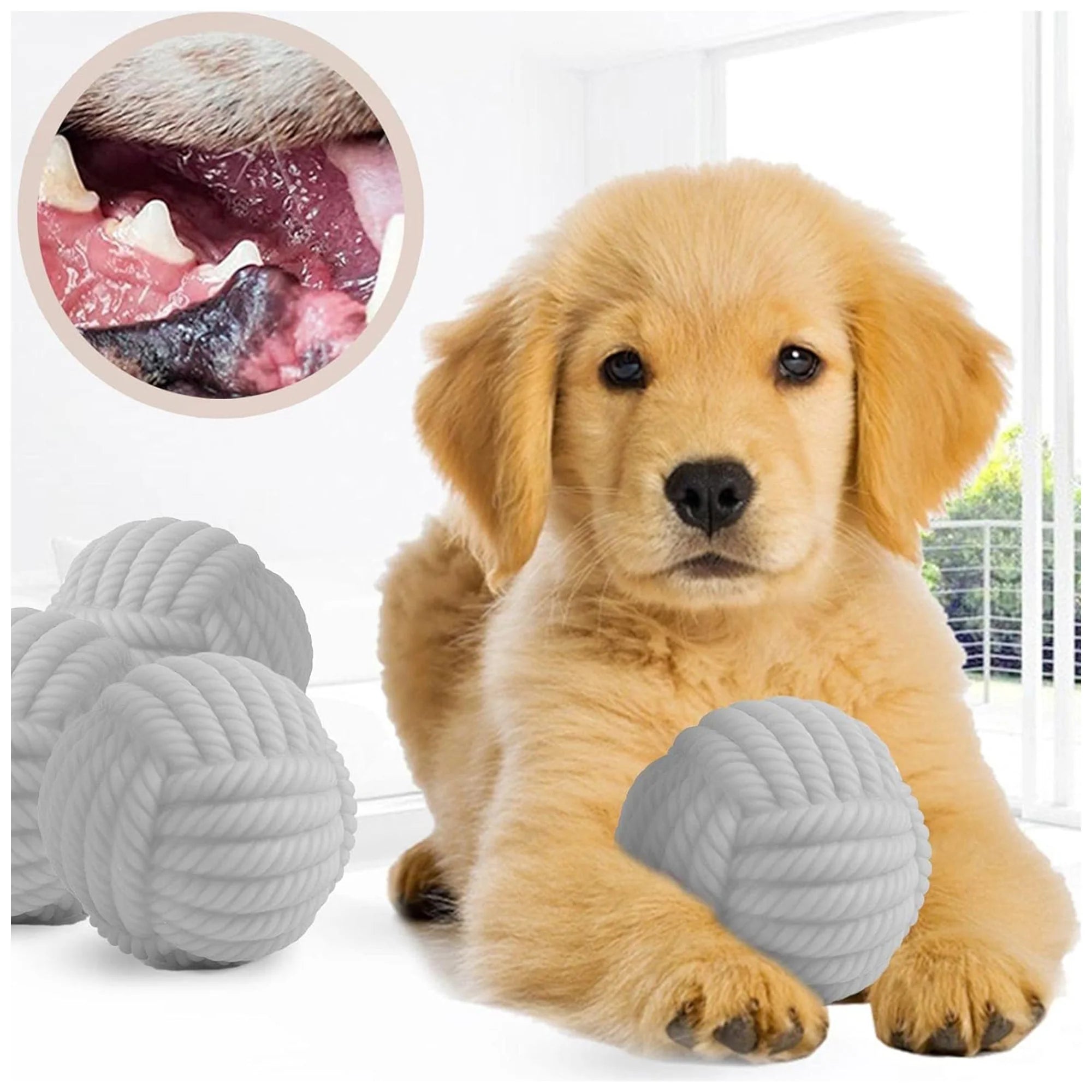 Interactive Dog Chew Toy – Durable, Squeaky for All Sizes