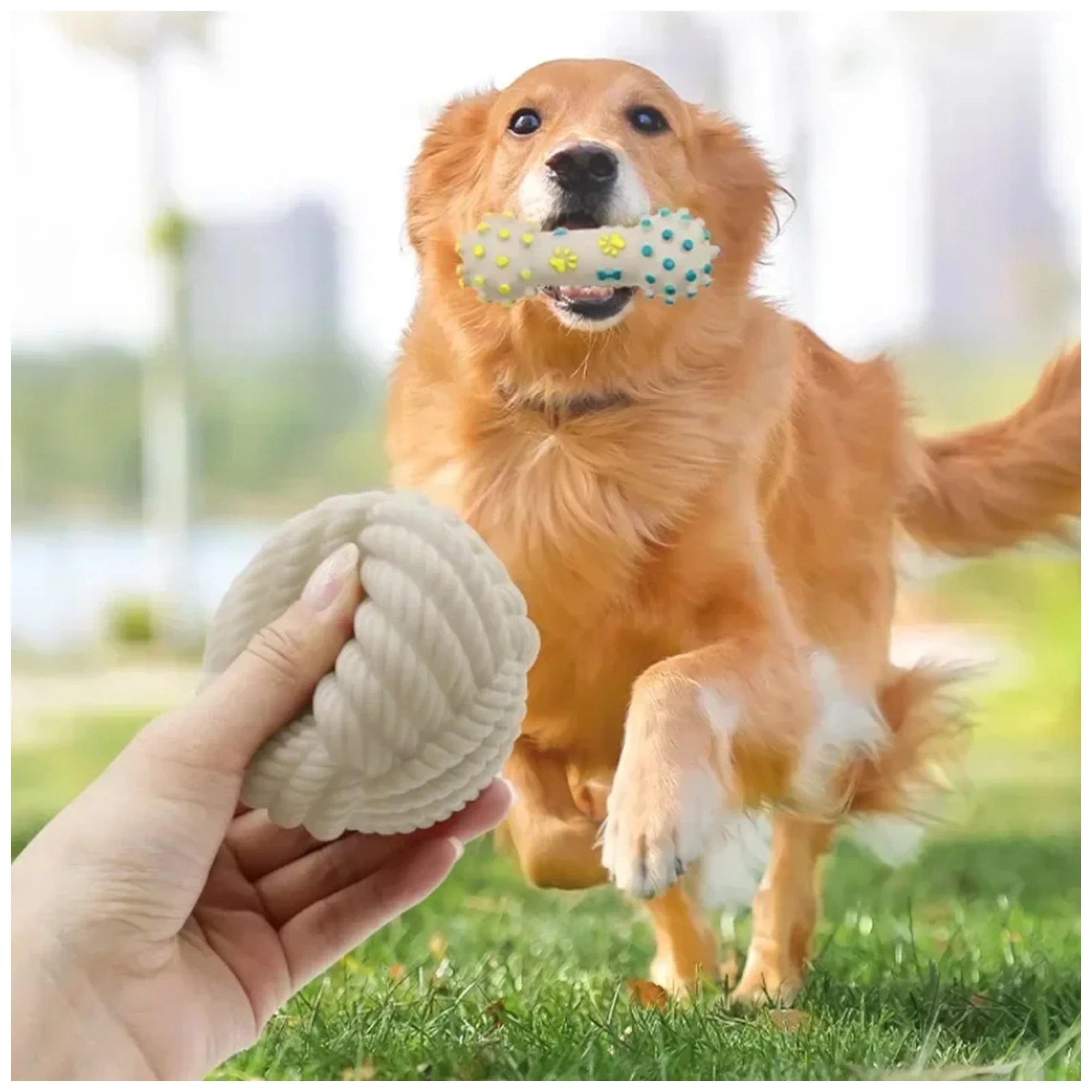 Interactive Dog Chew Toy – Durable, Squeaky for All Sizes