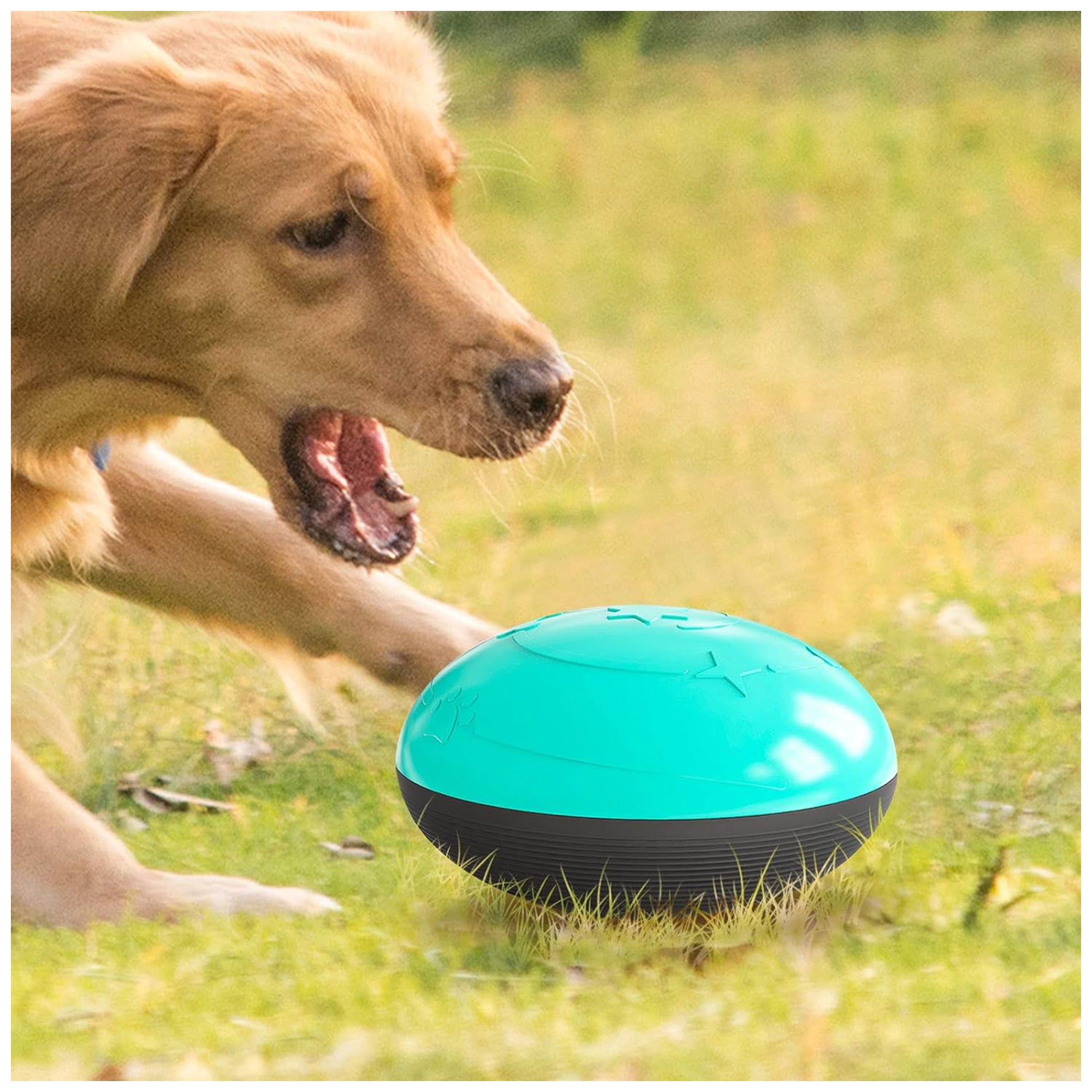 Interactive Slow Feeder Pet Toy - Fun Food Dispensing Puzzle