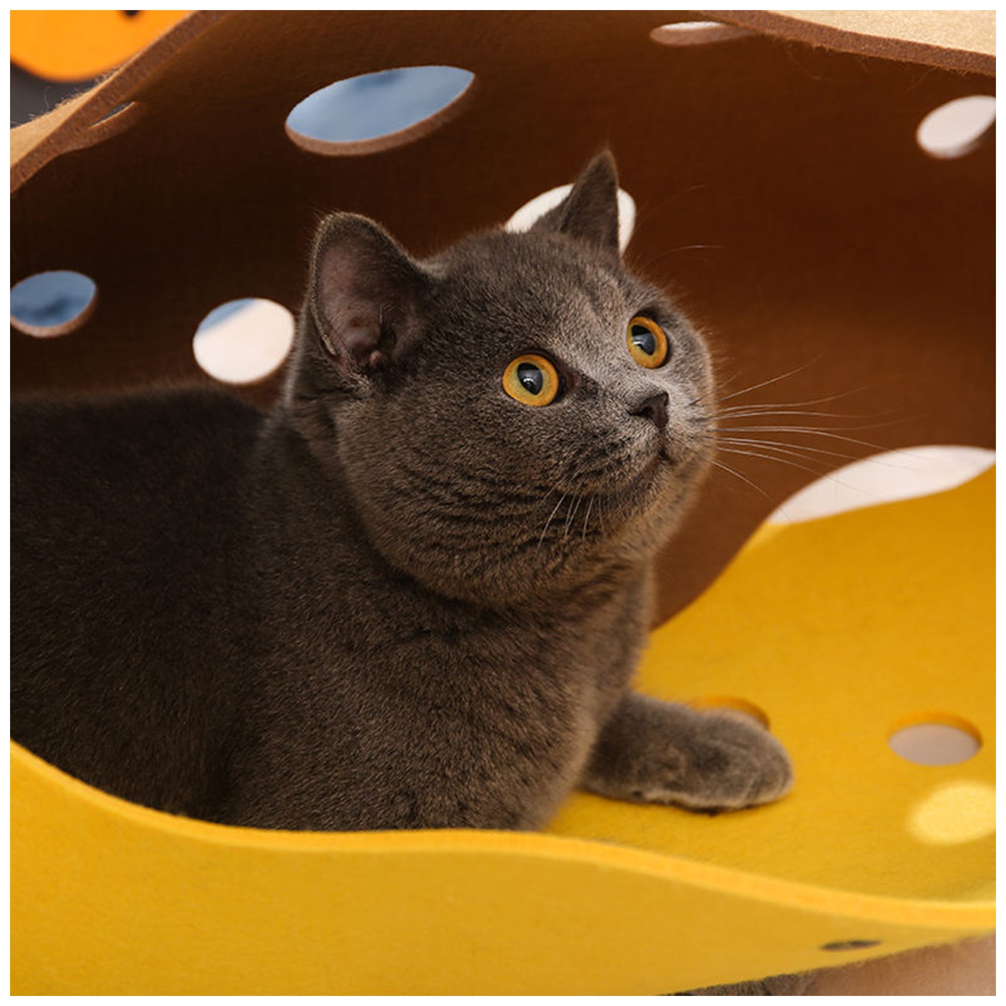 Interactive Cat Tunnel Toy – Durable Felt, Engaging Space for Kittens