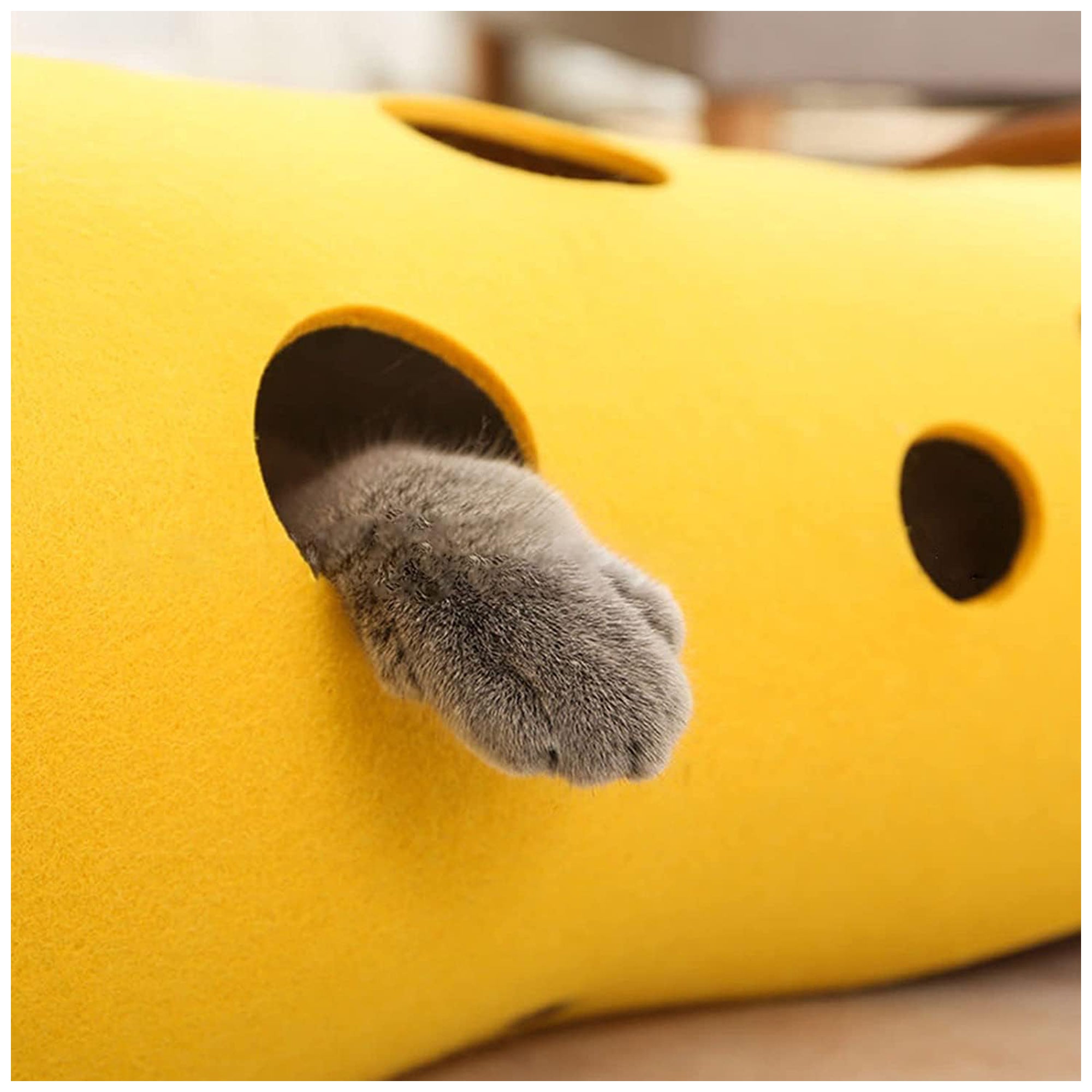 Interactive Cat Tunnel Toy – Durable Felt, Engaging Space for Kittens