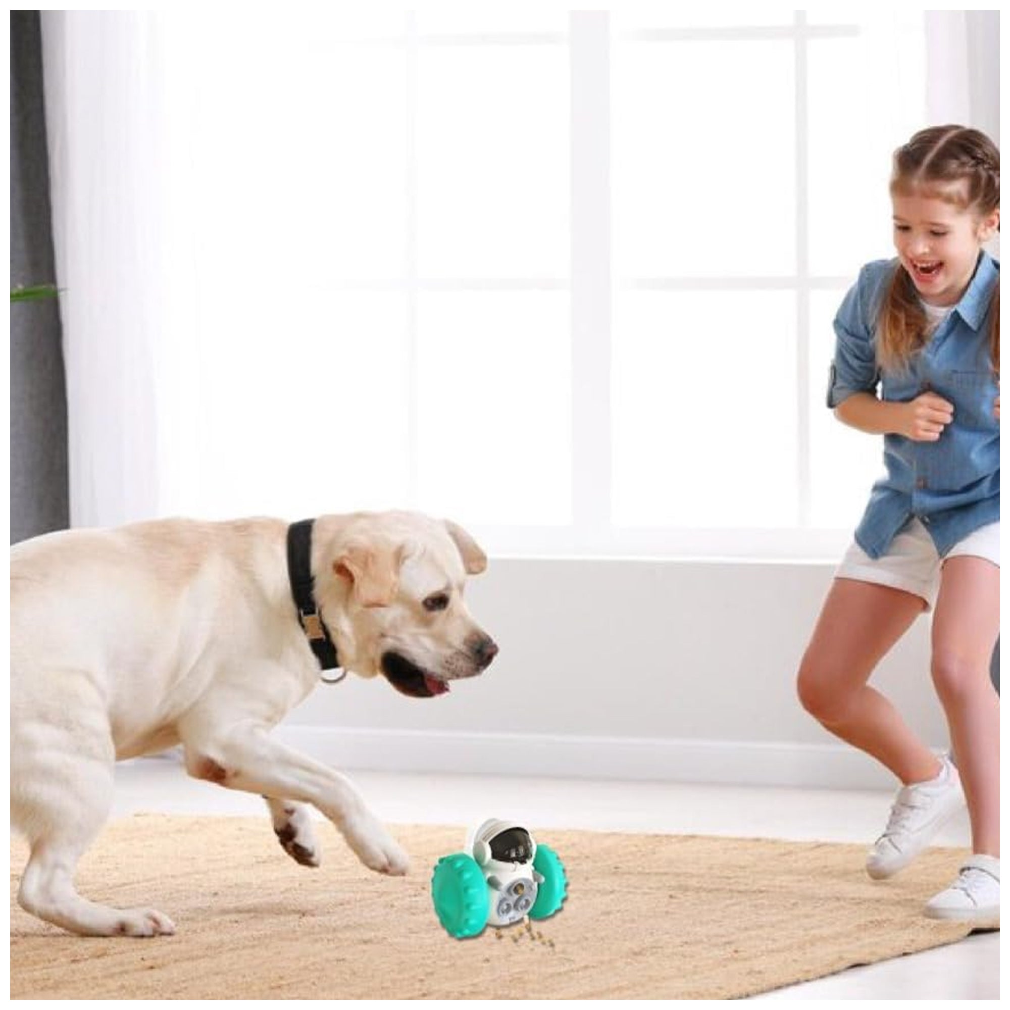 Interactive Slow Feeder Toy – Safe Foraging for Dogs & Cats
