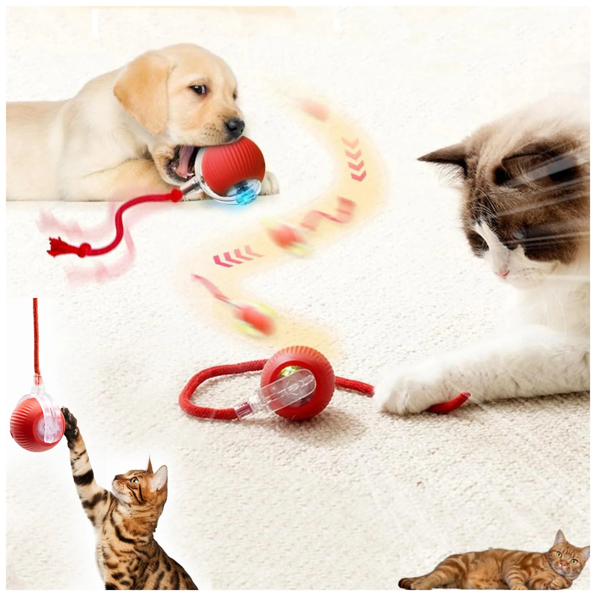 Interactive Smart Ball – 360° Toy for Active Pets