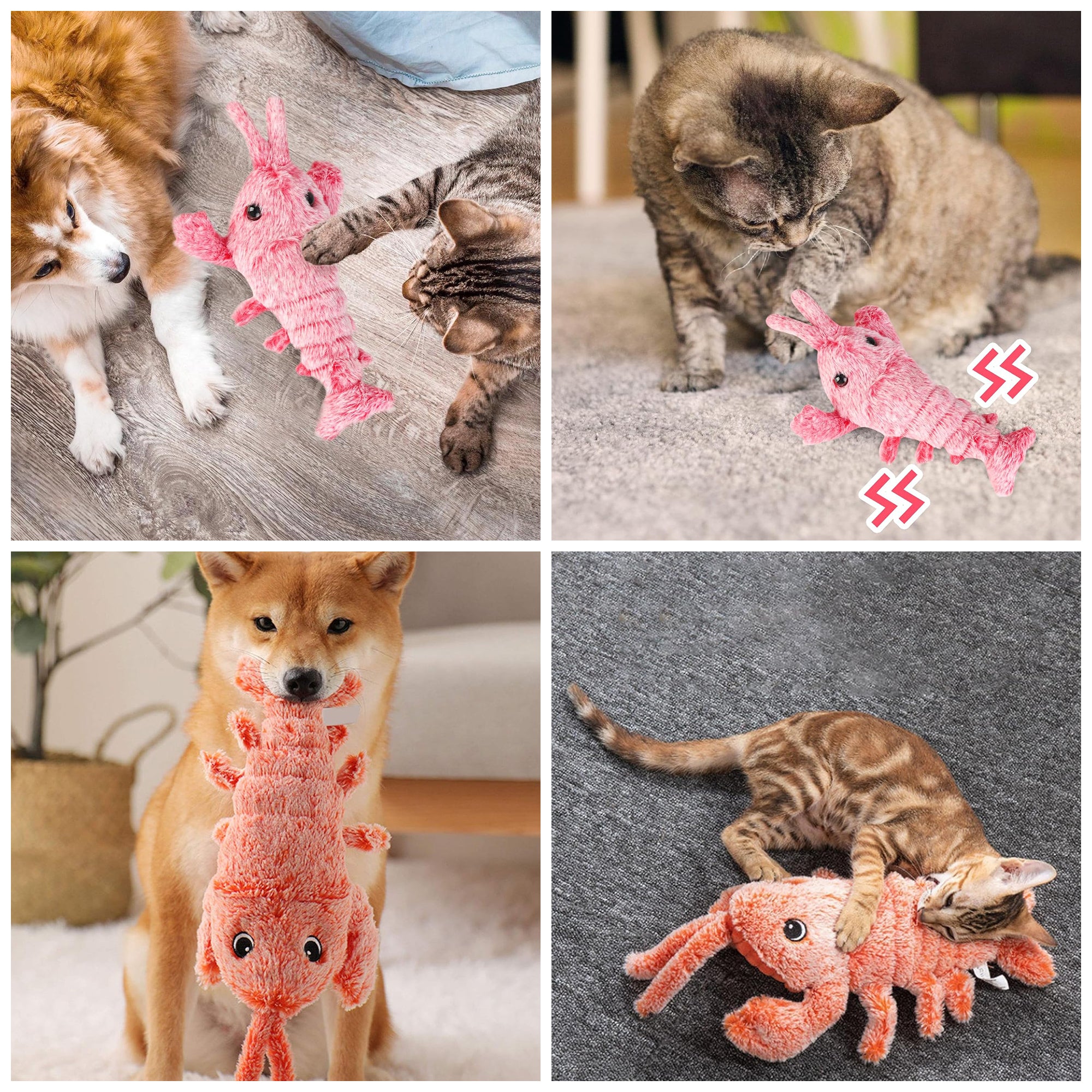 Interactive USB Catnip Toy – Chew & Play for Pets