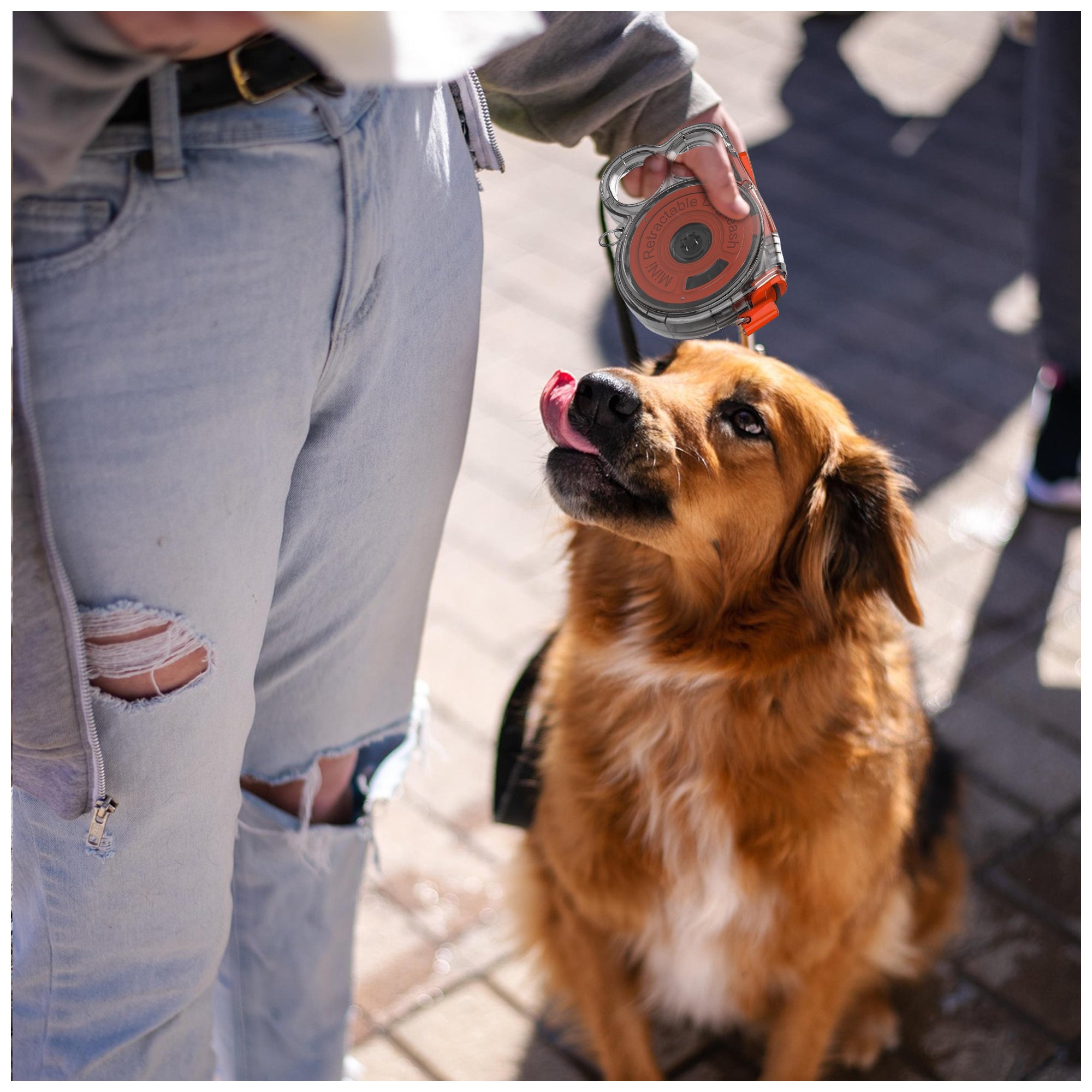 Lightweight 10ft Mini Retractable Pet Leash – Rainbow Design