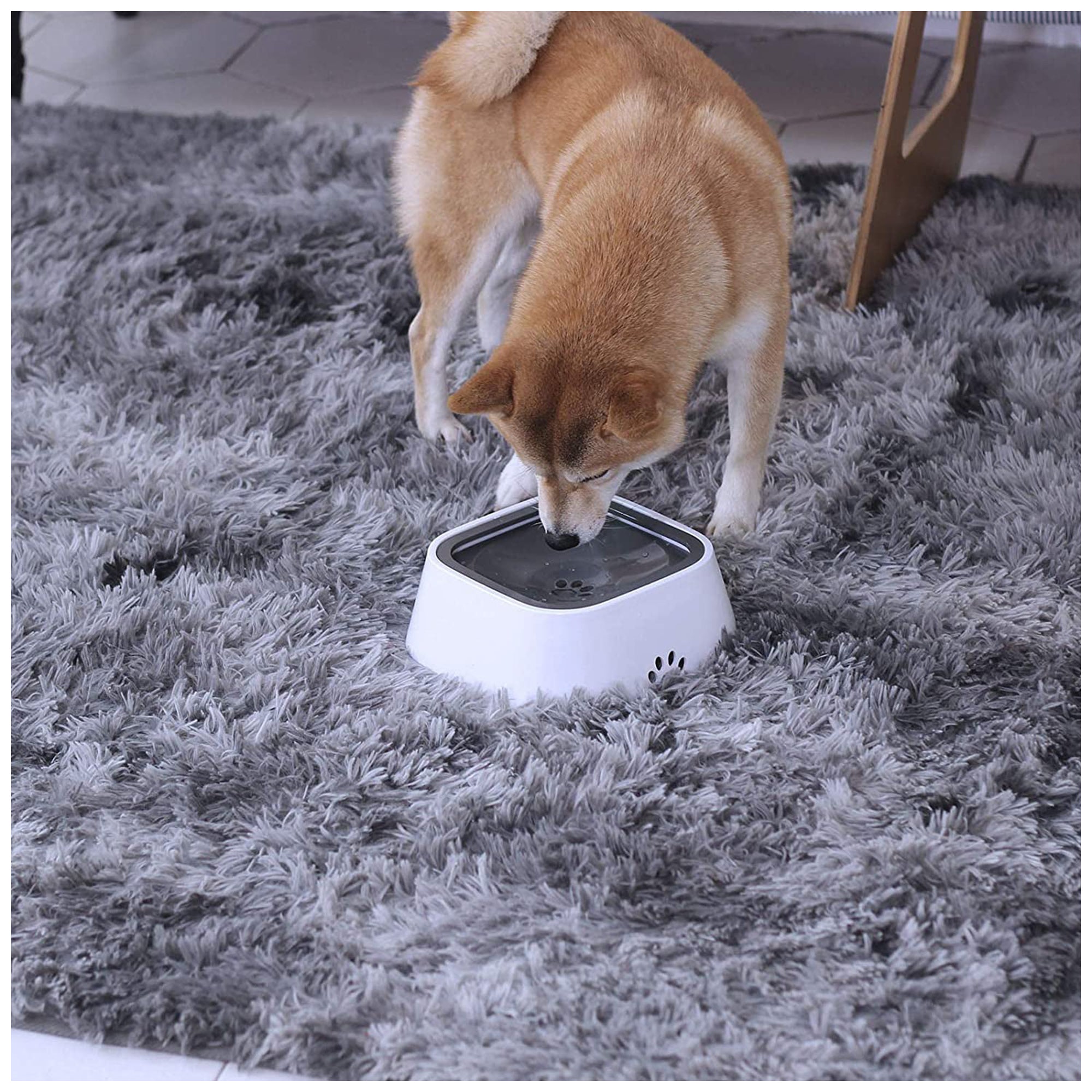 No-Spill Pet Water Bowl – Anti-Splash, Easy Clean Design