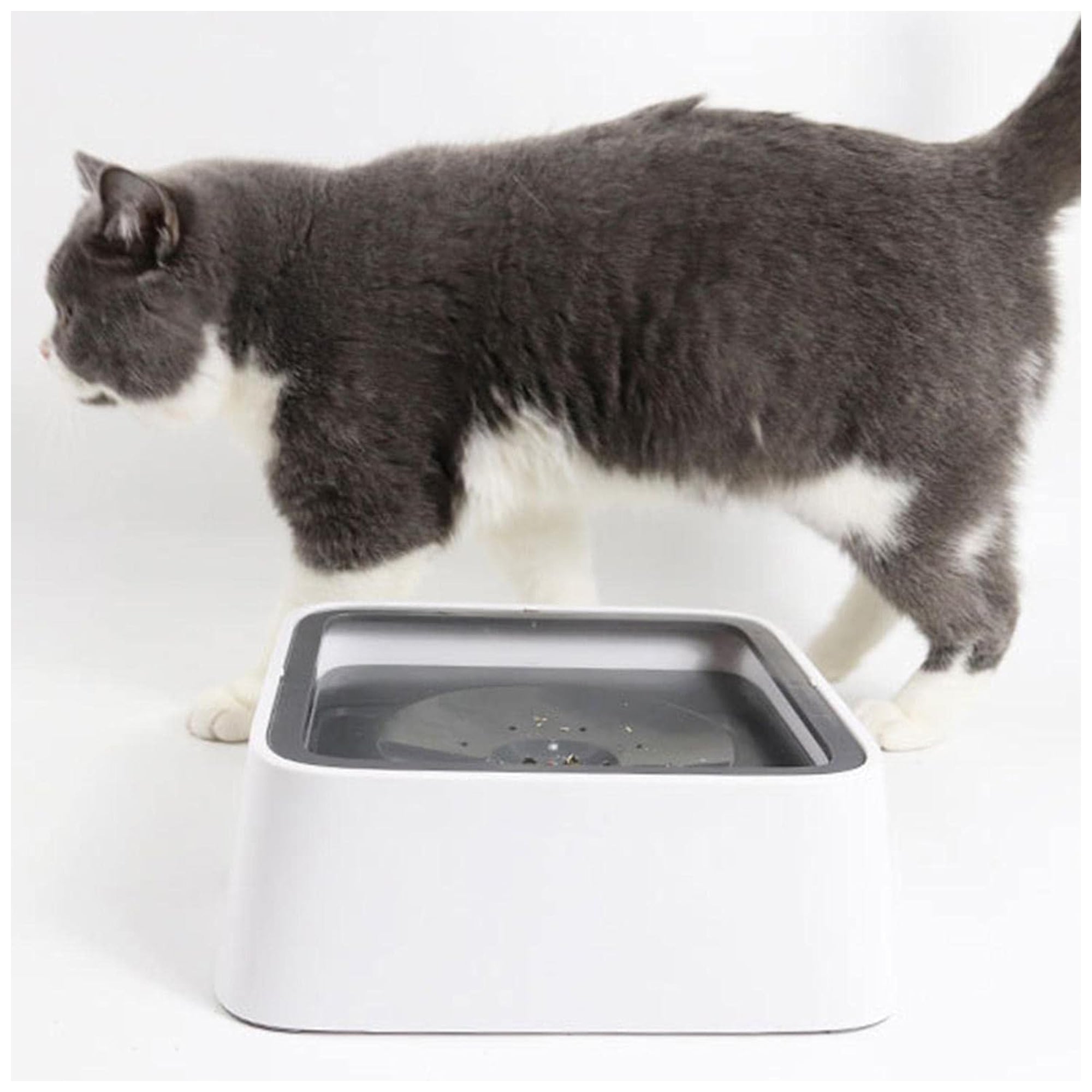 No-Spill Pet Water Bowl – Anti-Splash, Easy Clean Design