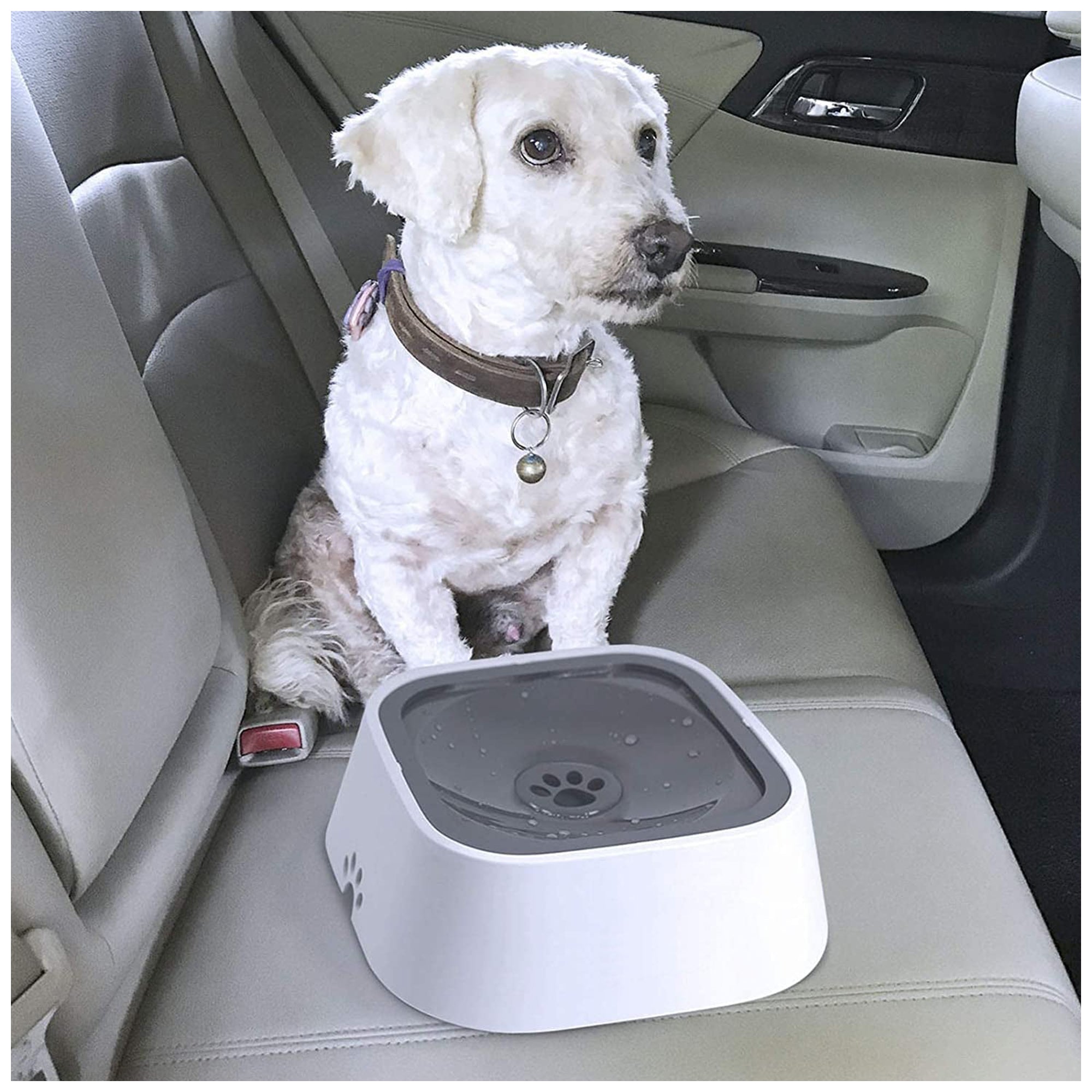 No-Spill Pet Water Bowl – Anti-Splash, Easy Clean Design