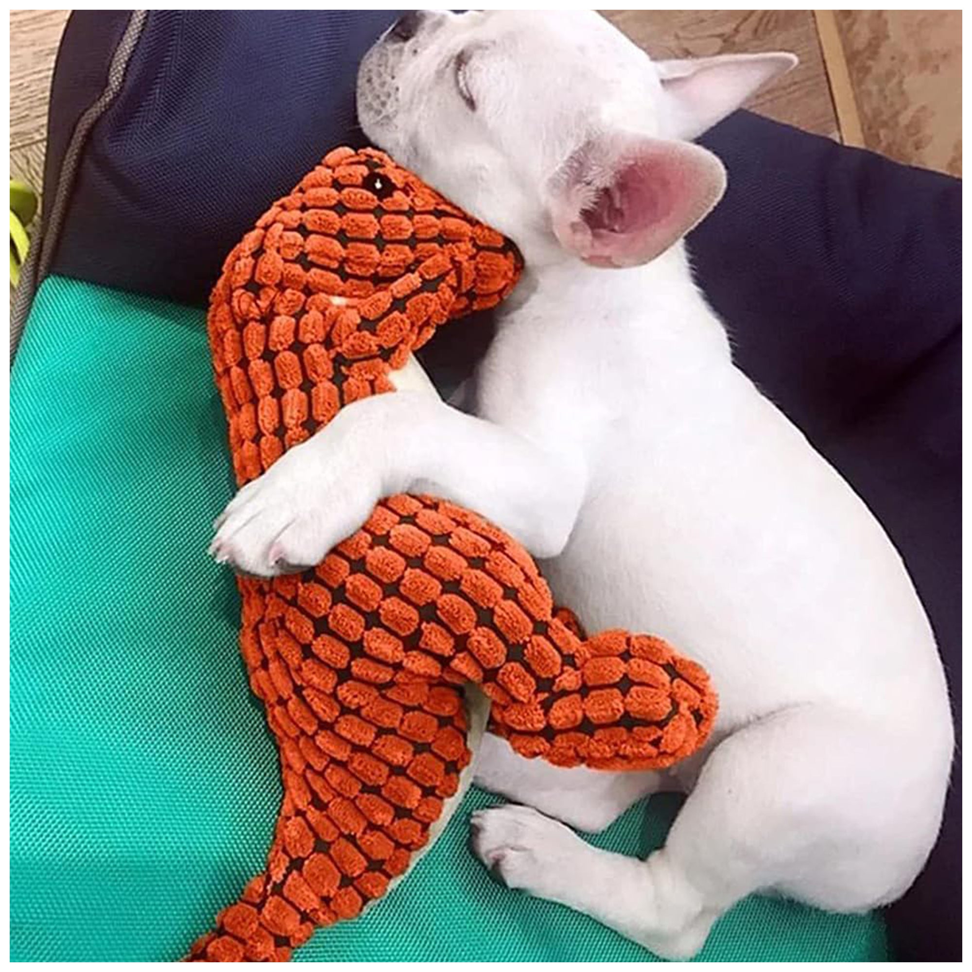 Noisy Plush Interactive Dinosaur Toy – Chew-Friendly, 25cm