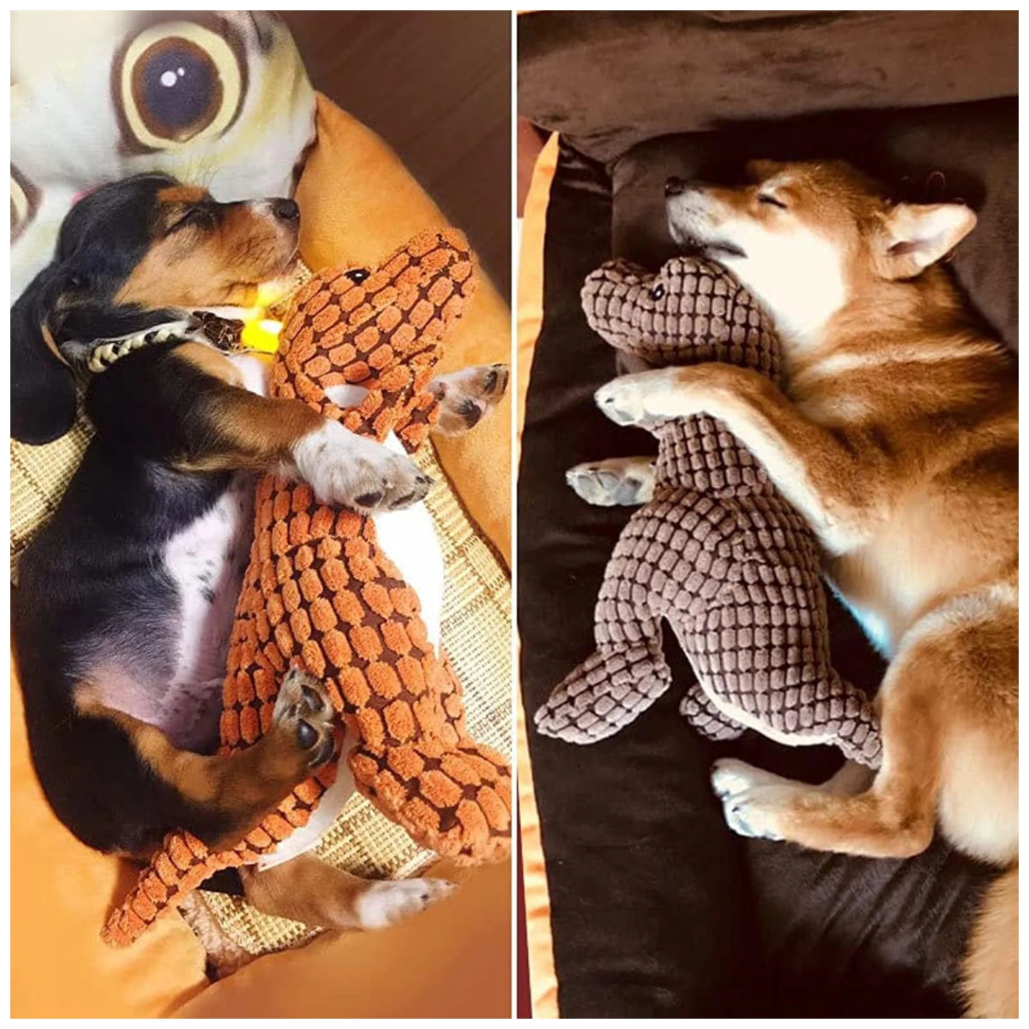 Noisy Plush Interactive Dinosaur Toy – Chew-Friendly, 25cm