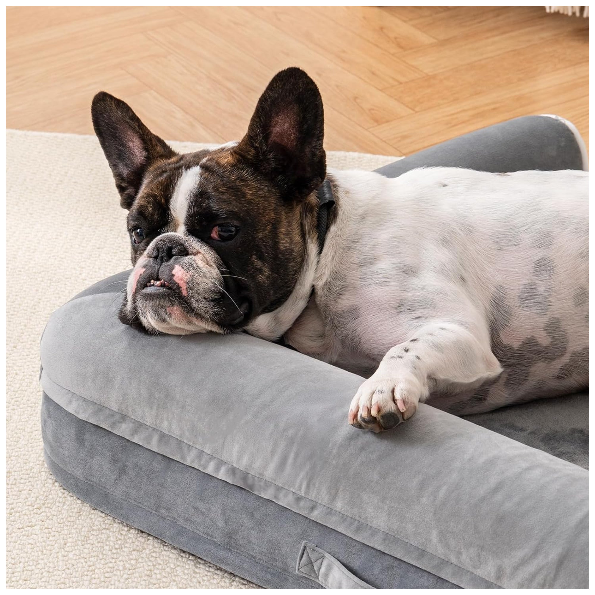 Orthopedic Dog Bed – Washable, Support for Medium Dogs