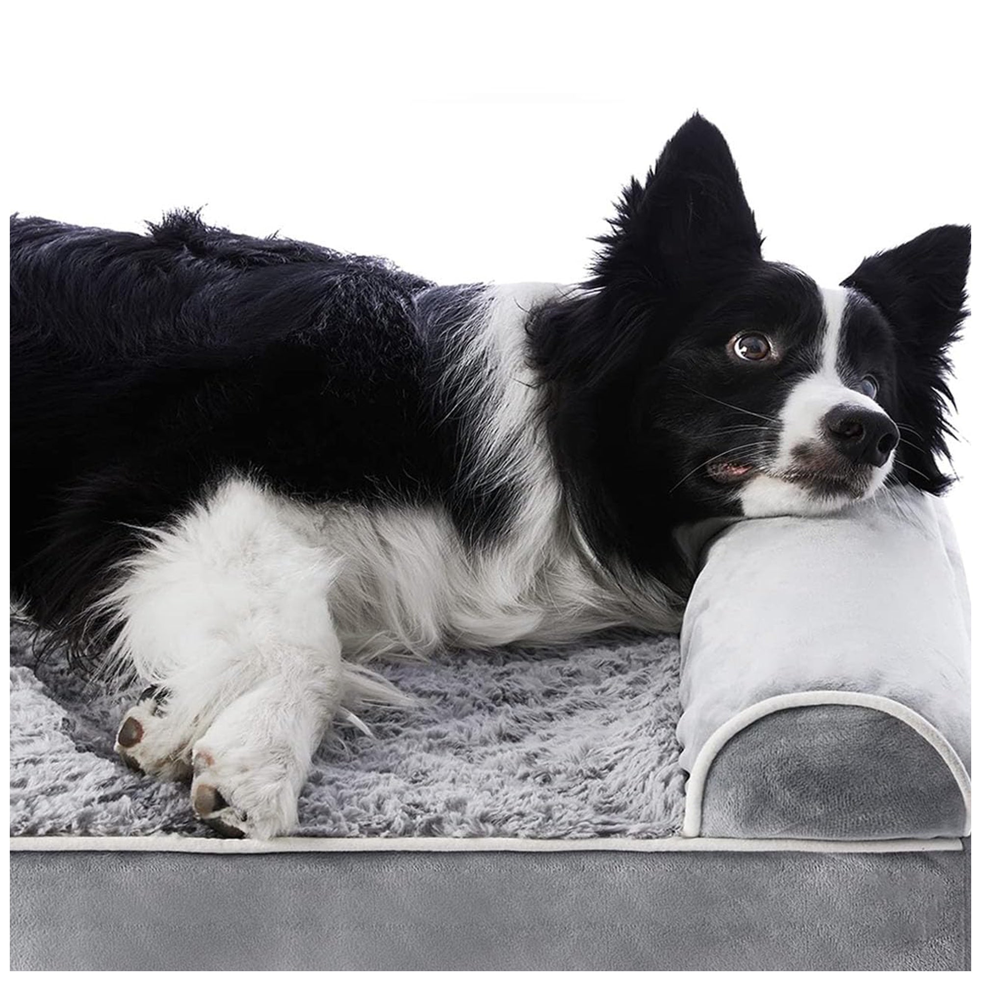 Orthopedic Dog Bed – Washable, Support for Medium Dogs