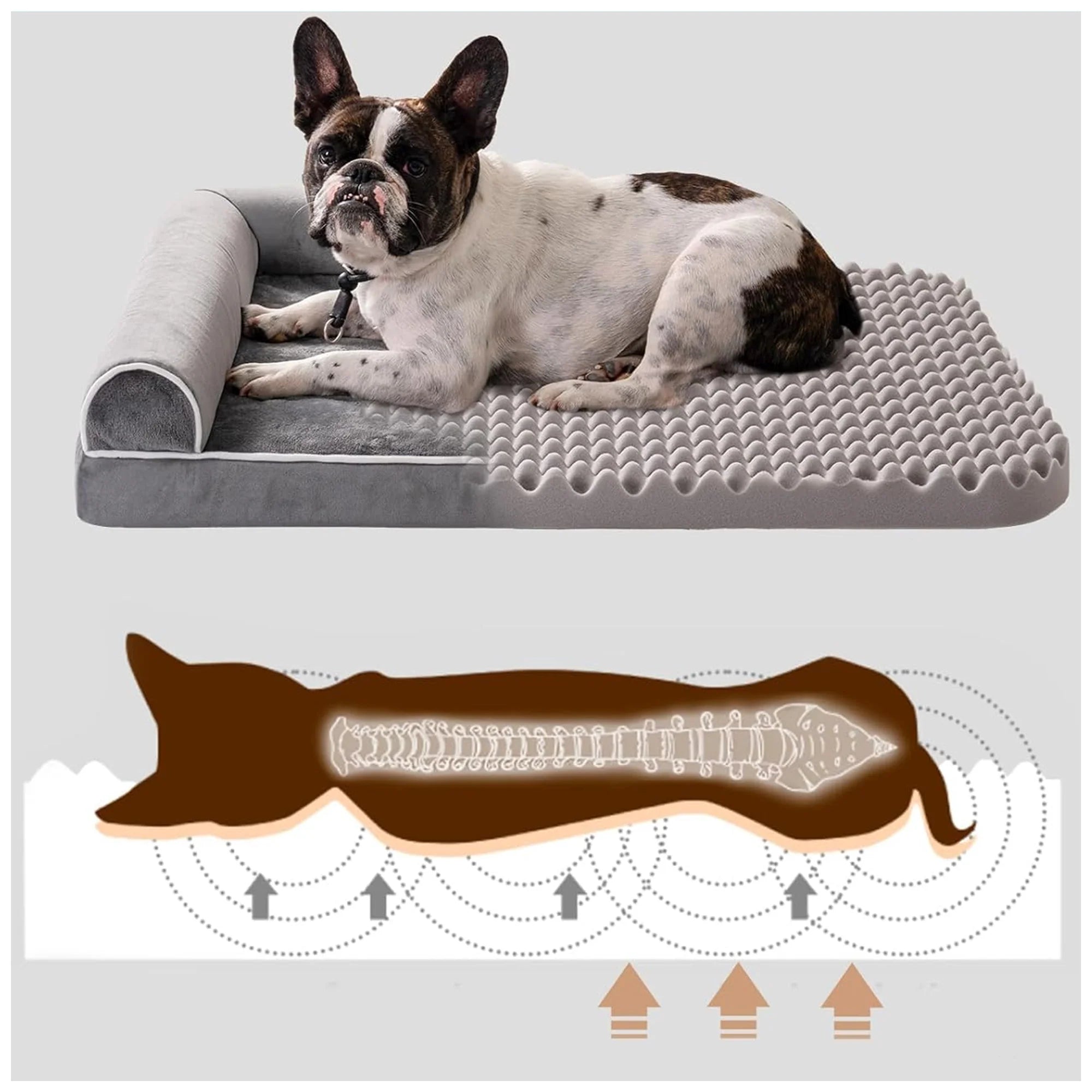 Orthopedic Dog Bed – Washable, Support for Medium Dogs