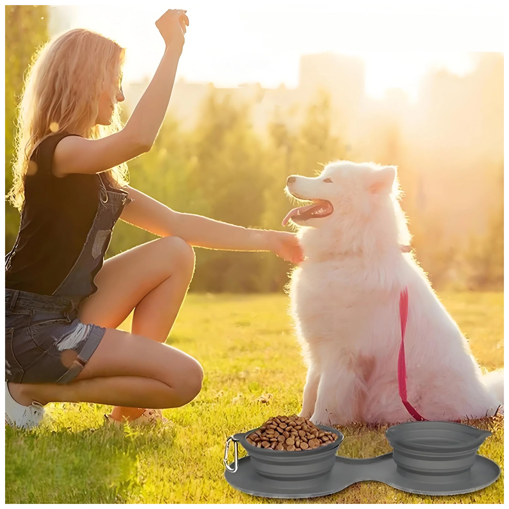 Portable Silicone Collapsible Dog Bowls – No Spill, Easy Clean