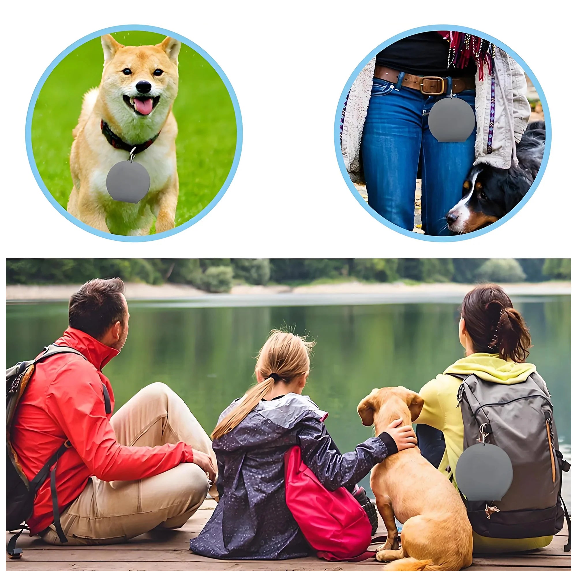 Portable Silicone Collapsible Dog Bowls – No Spill, Easy Clean