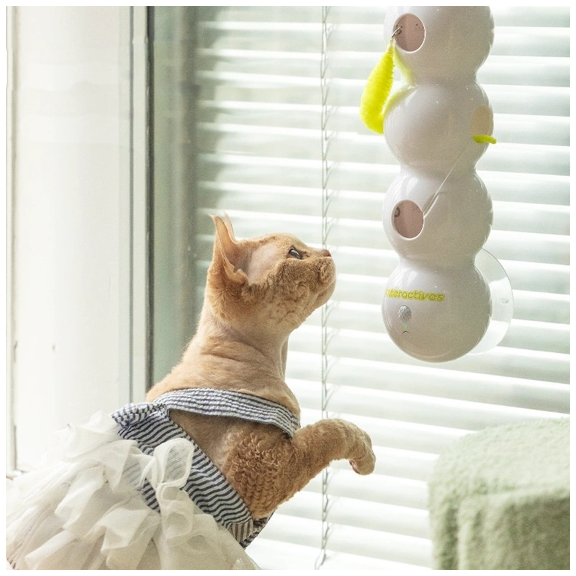 Rechargeable Motion-Activated Cat Toy – Interactive Fun