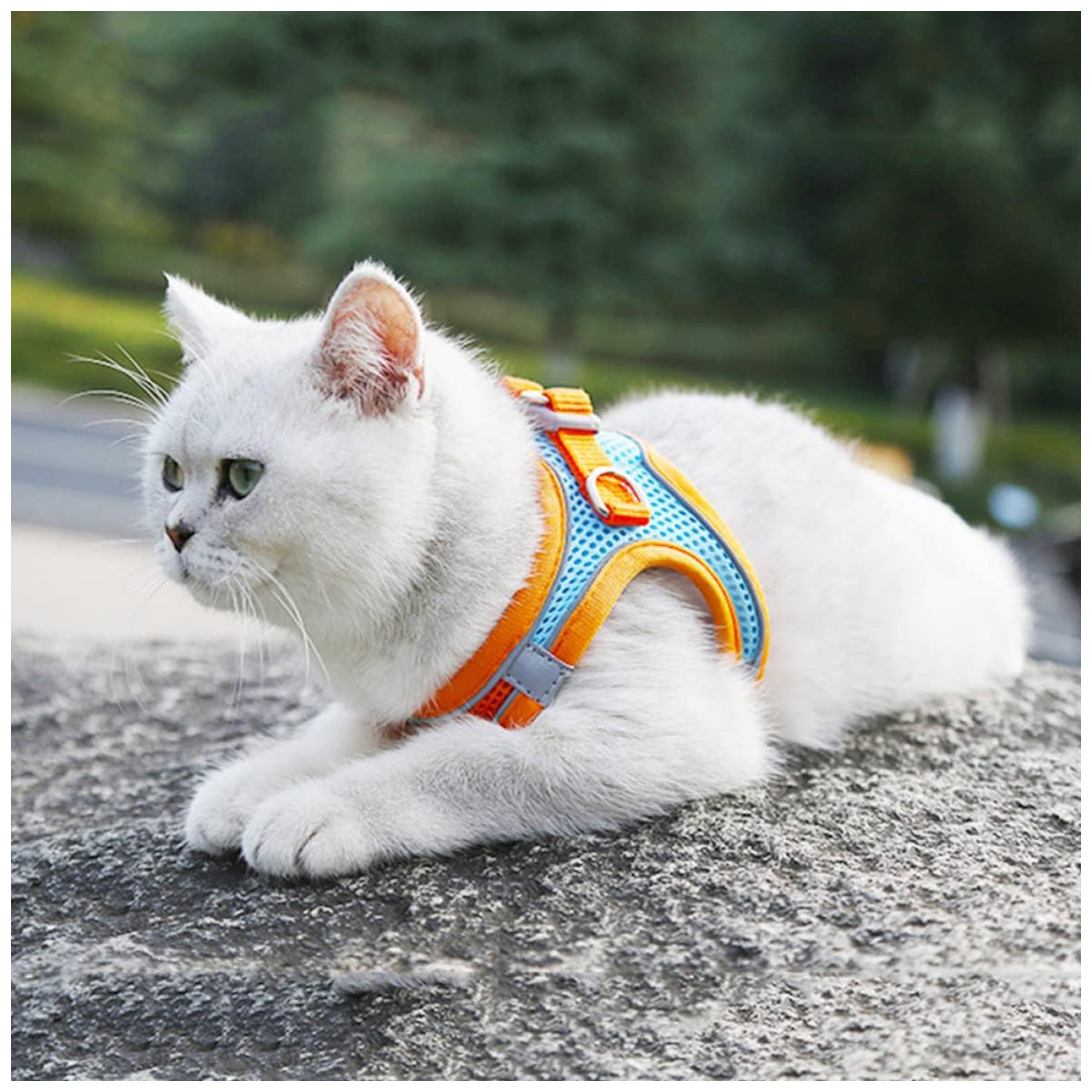 Reflective Mesh Pet Harness – Adjustable Fit with Leash