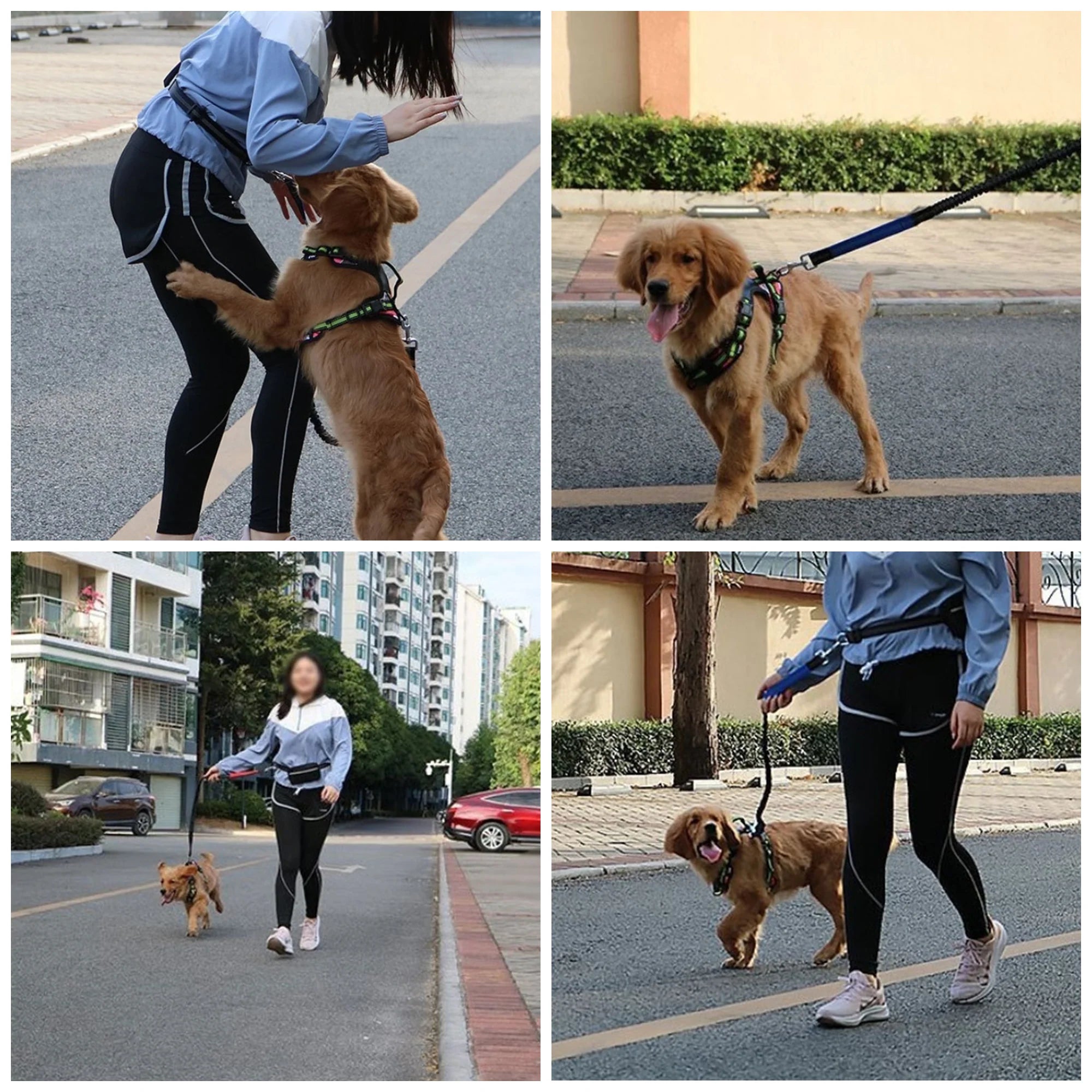 Reflective Adjustable Hands-Free Dog Leash – Nylon, Comfortable Fit