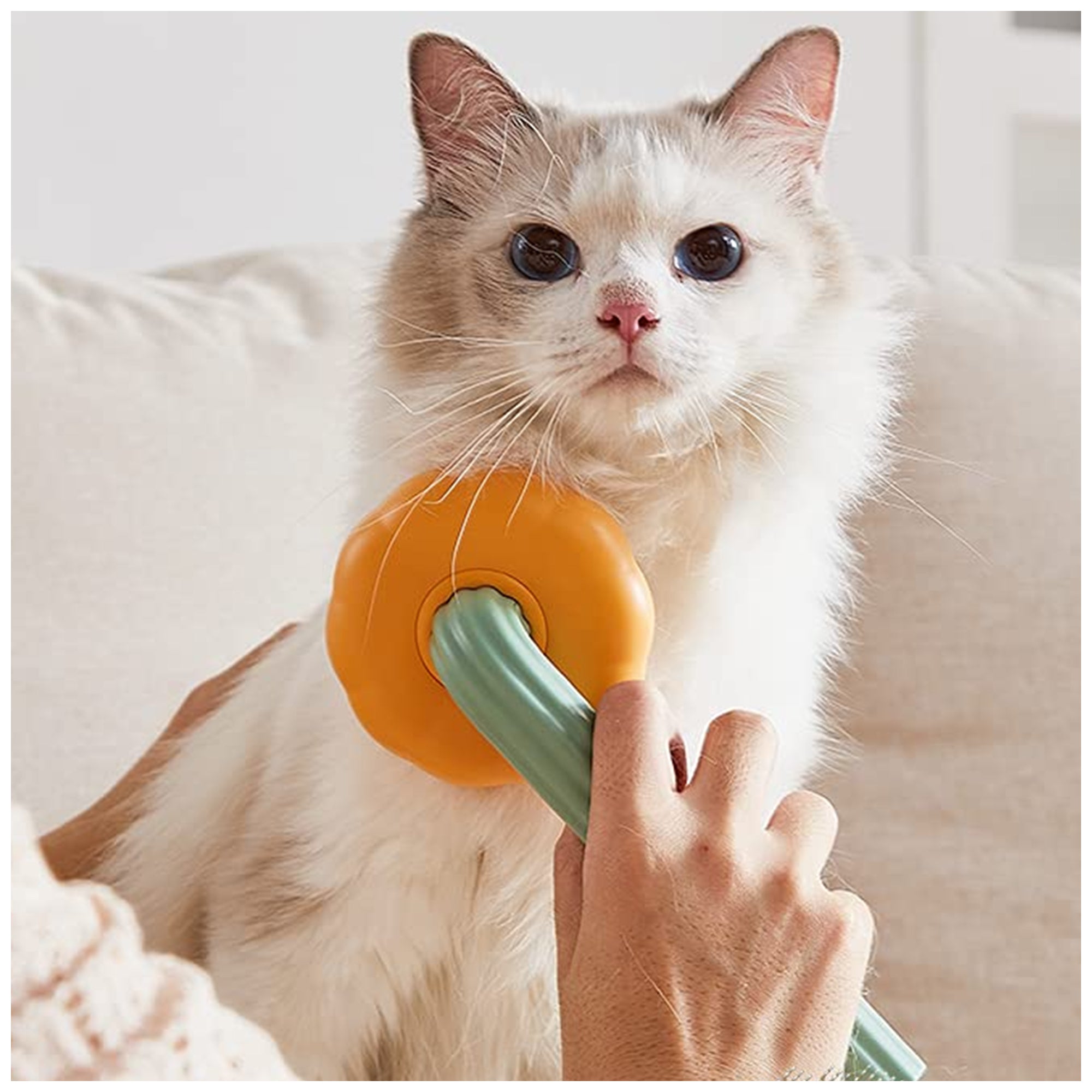 Self-Cleaning Slicker Brush for Cats – Gentle, Easy Grooming