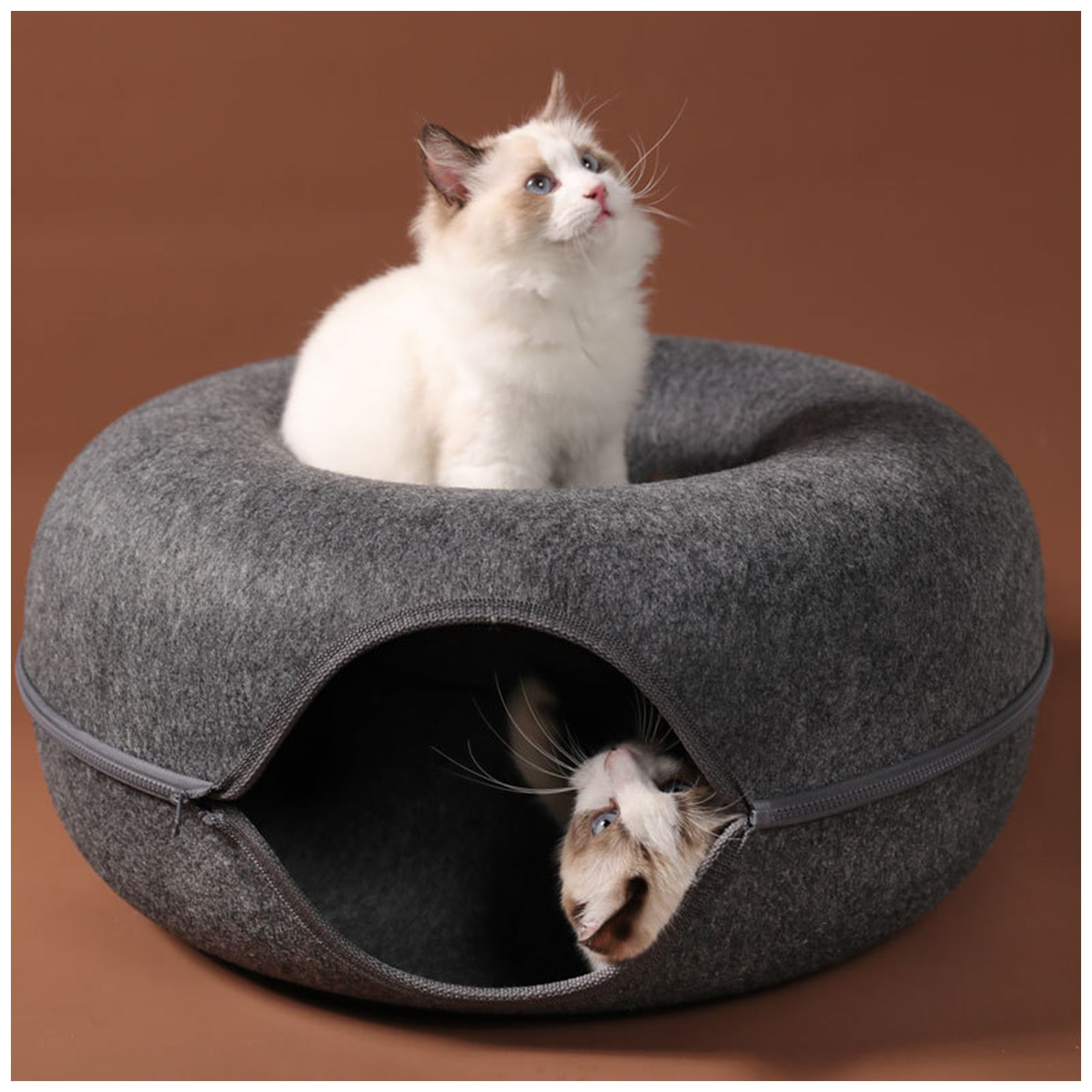 Self-Warming Donut Cat Bed – Plush, Non-Slip & Cozy
