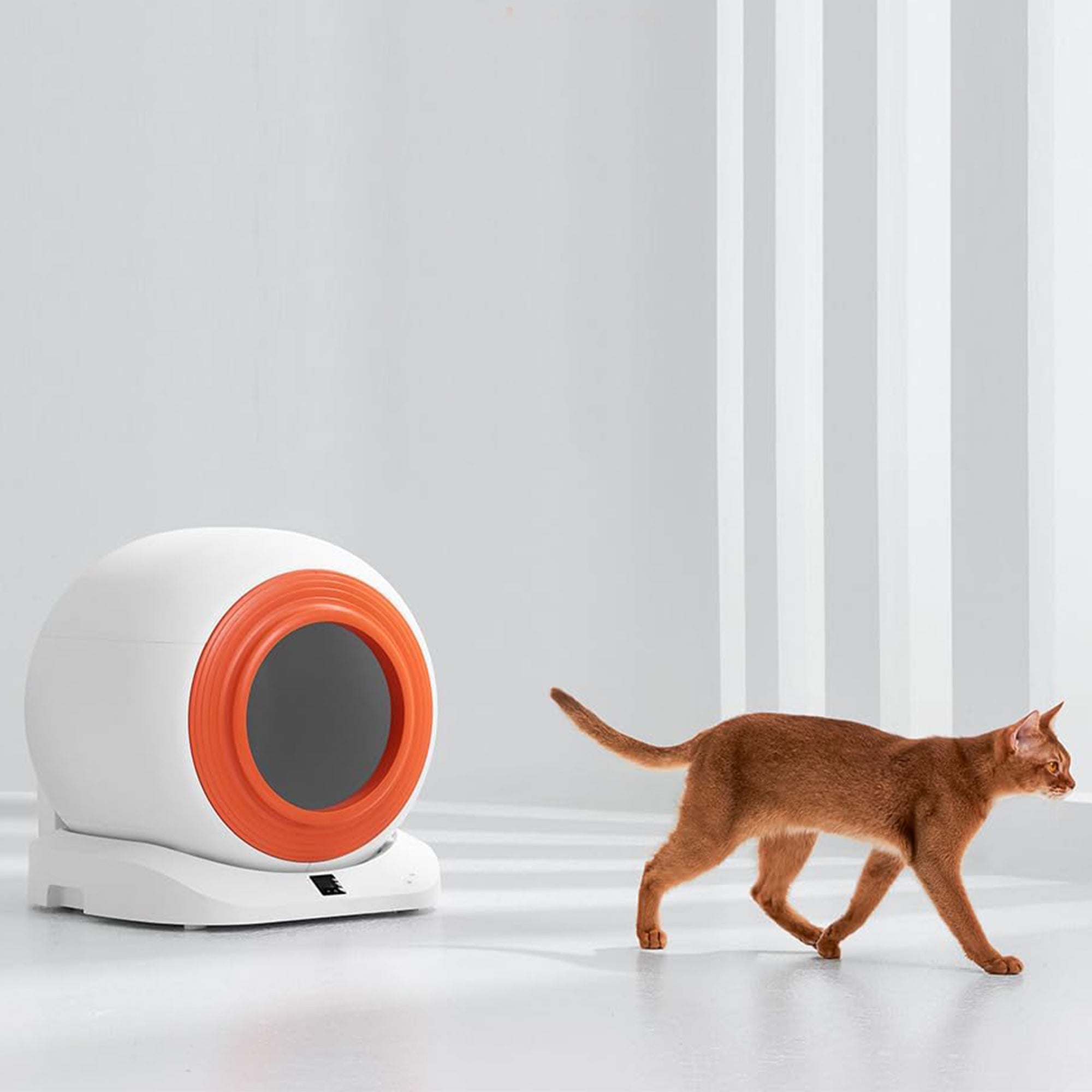 Smart Automatic Cat Litter Box – Self-Cleaning, App Controlled