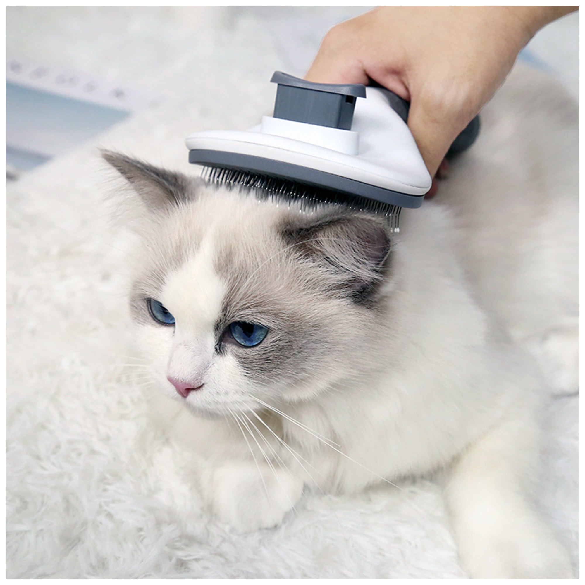 Stainless Steel Pet Comb – Effortless Fur Removal, Durable Design