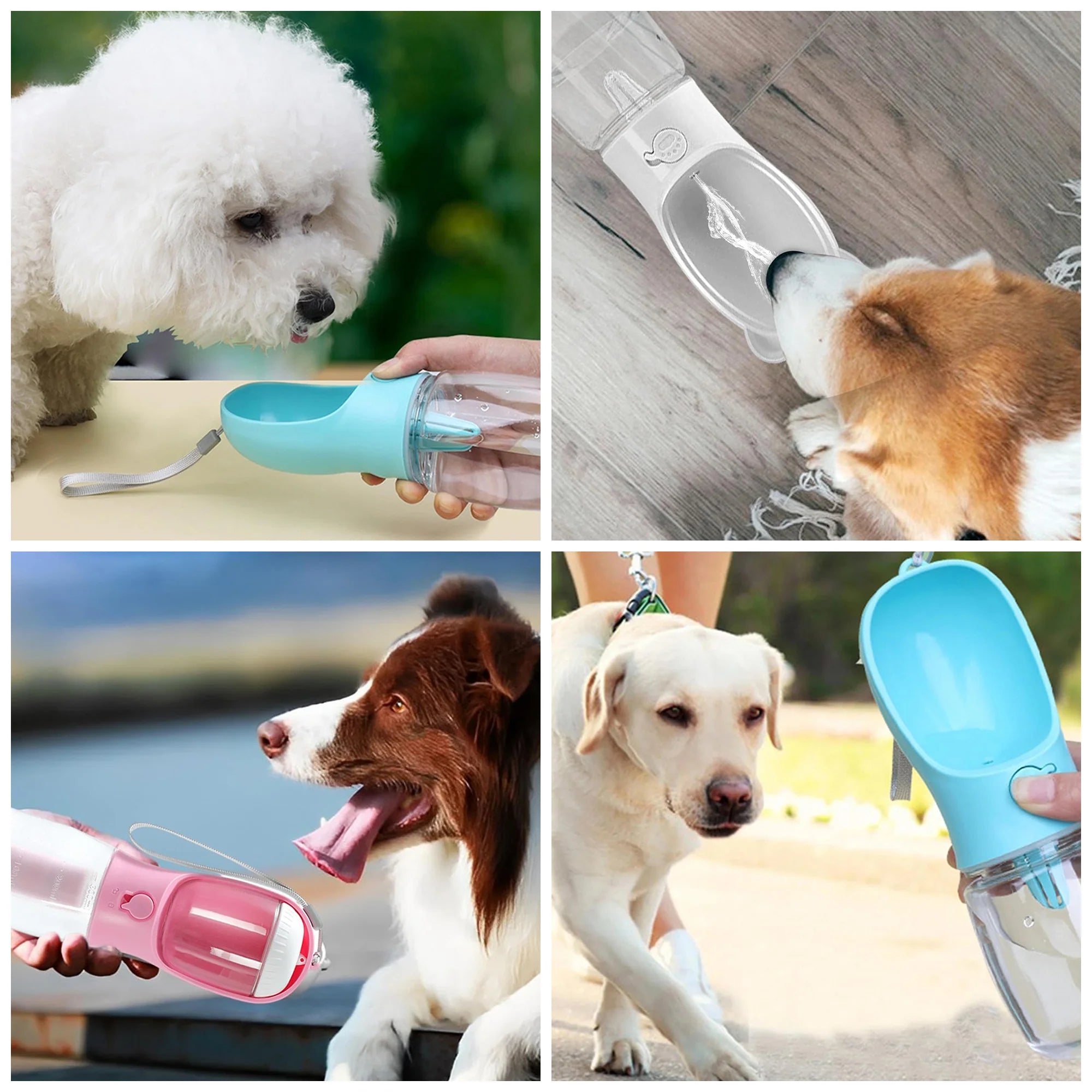 Travel Dog Water Bottle – Leak-Proof, Portable & Easy to Use