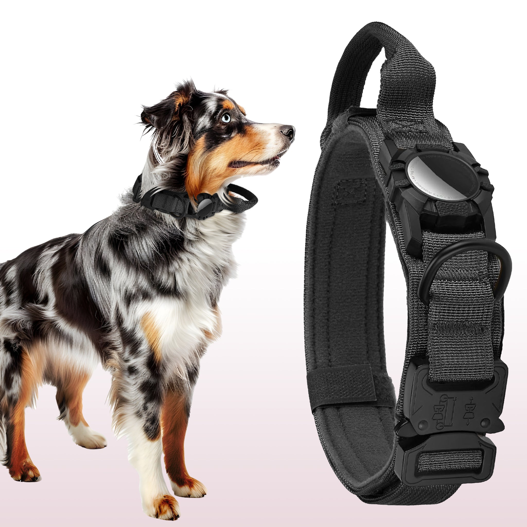 Waterproof Airtag Dog Collar – Adjustable, Durable Nylon
