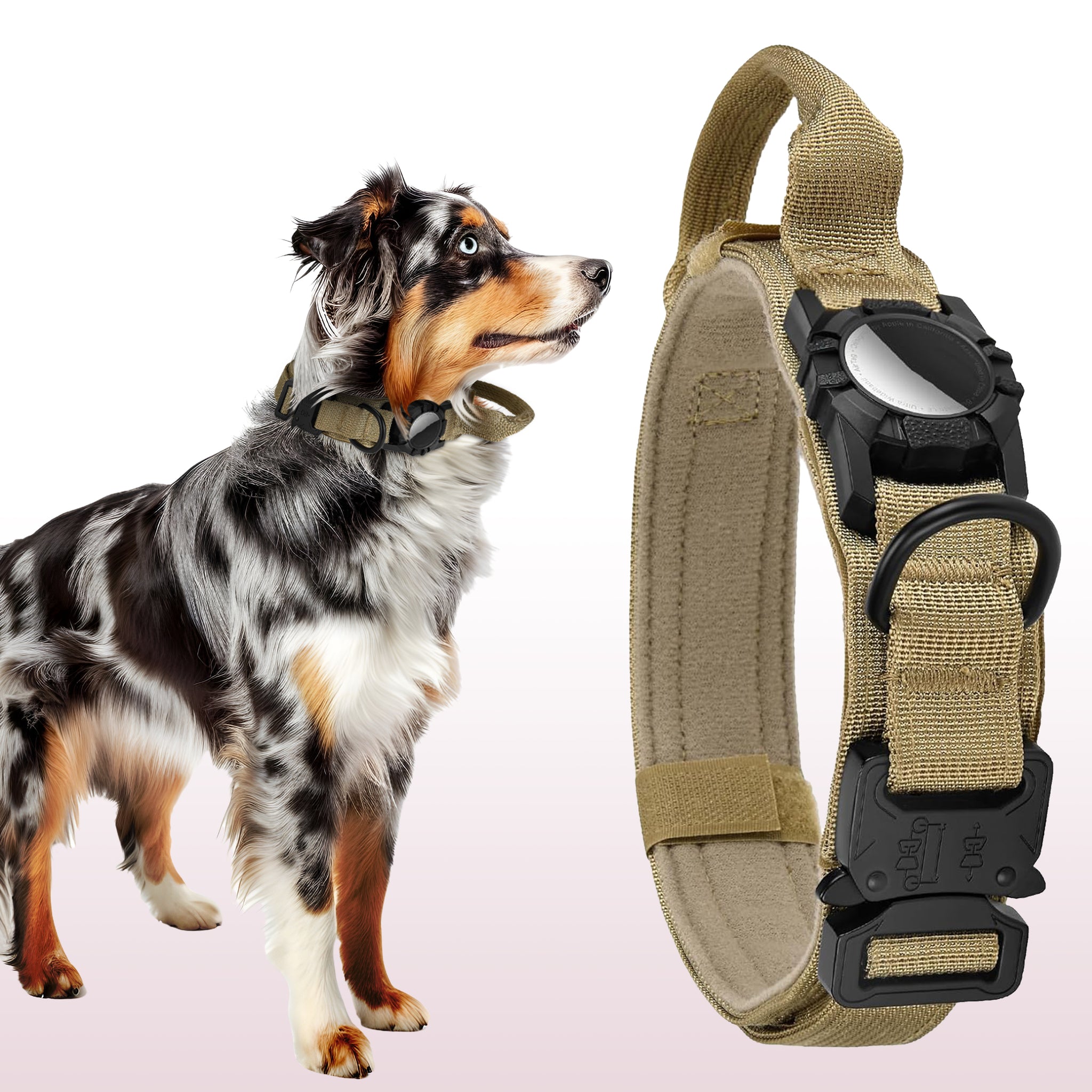 Waterproof Airtag Dog Collar – Adjustable, Durable Nylon