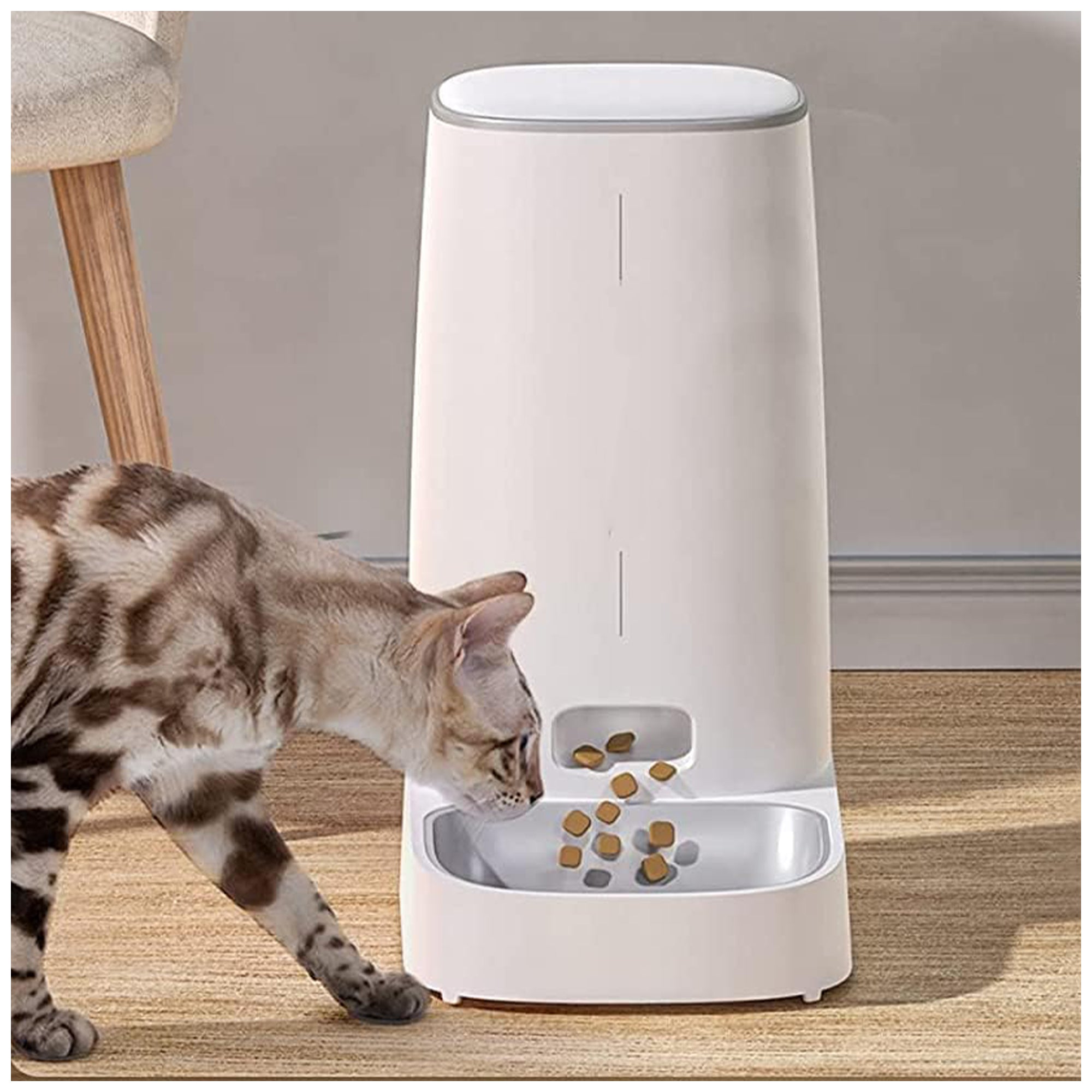 Wi-Fi Automatic Pet Feeder – 4L Capacity, App Controlled