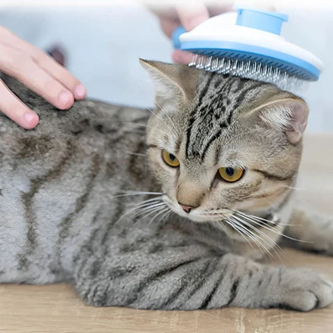 Stainless Steel Pet Comb – Effortless Fur Removal, Durable Design