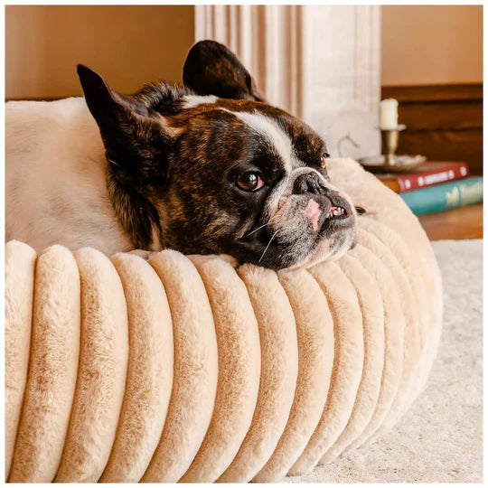 A bulldog rests its chin on a dog bed
